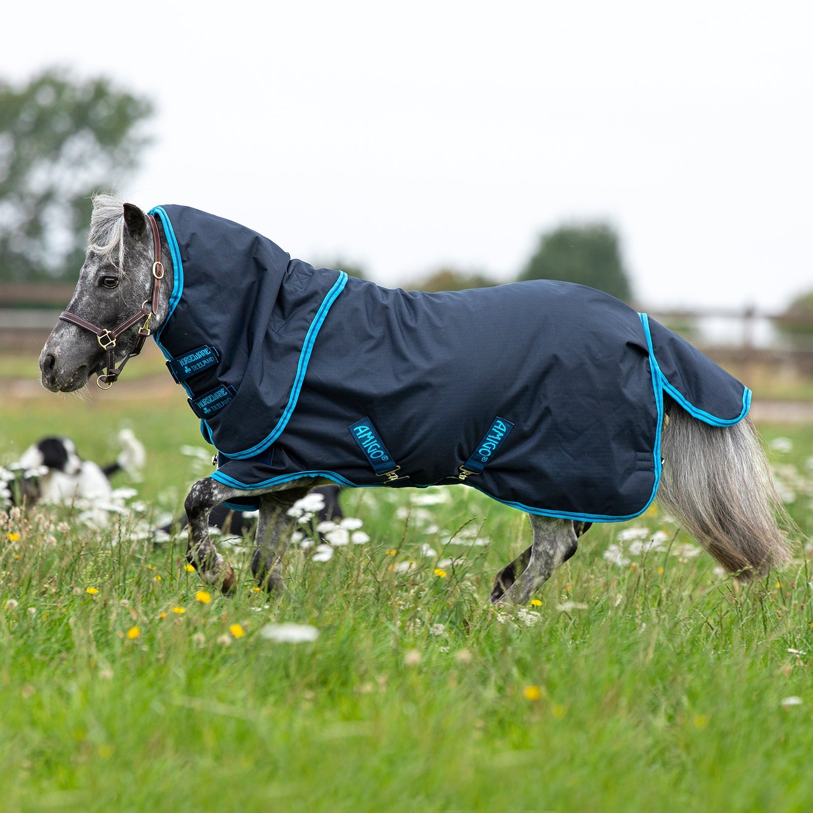 Horseware Amigo Hero 6 Petite Plus Turnout incl. Detachable Hood, 200g Horse Rugs