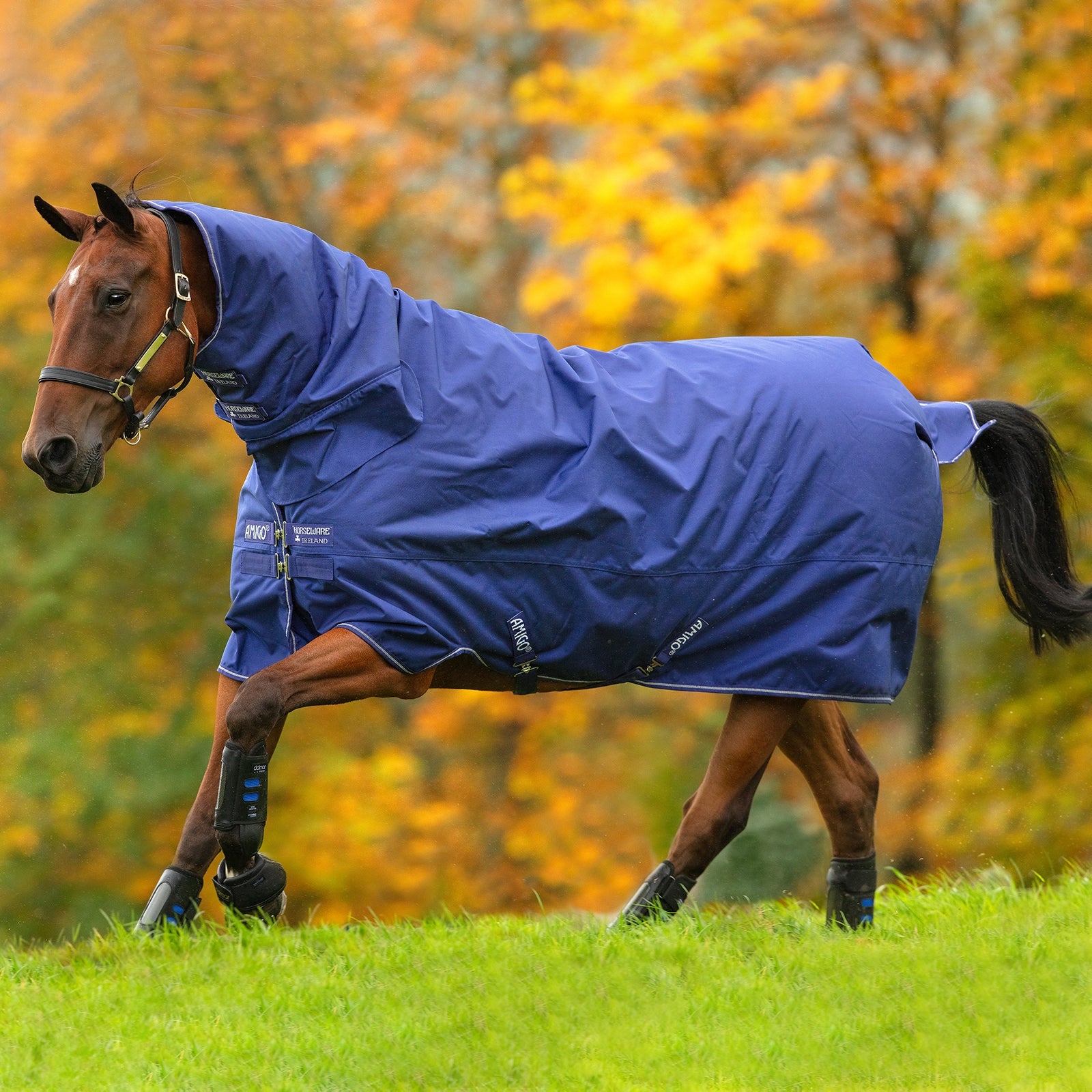 Horseware Amigo Hero 900 Allt-i-ett Utetäcke inkl. Integrerad halstäcke, 200g Hästtäcken