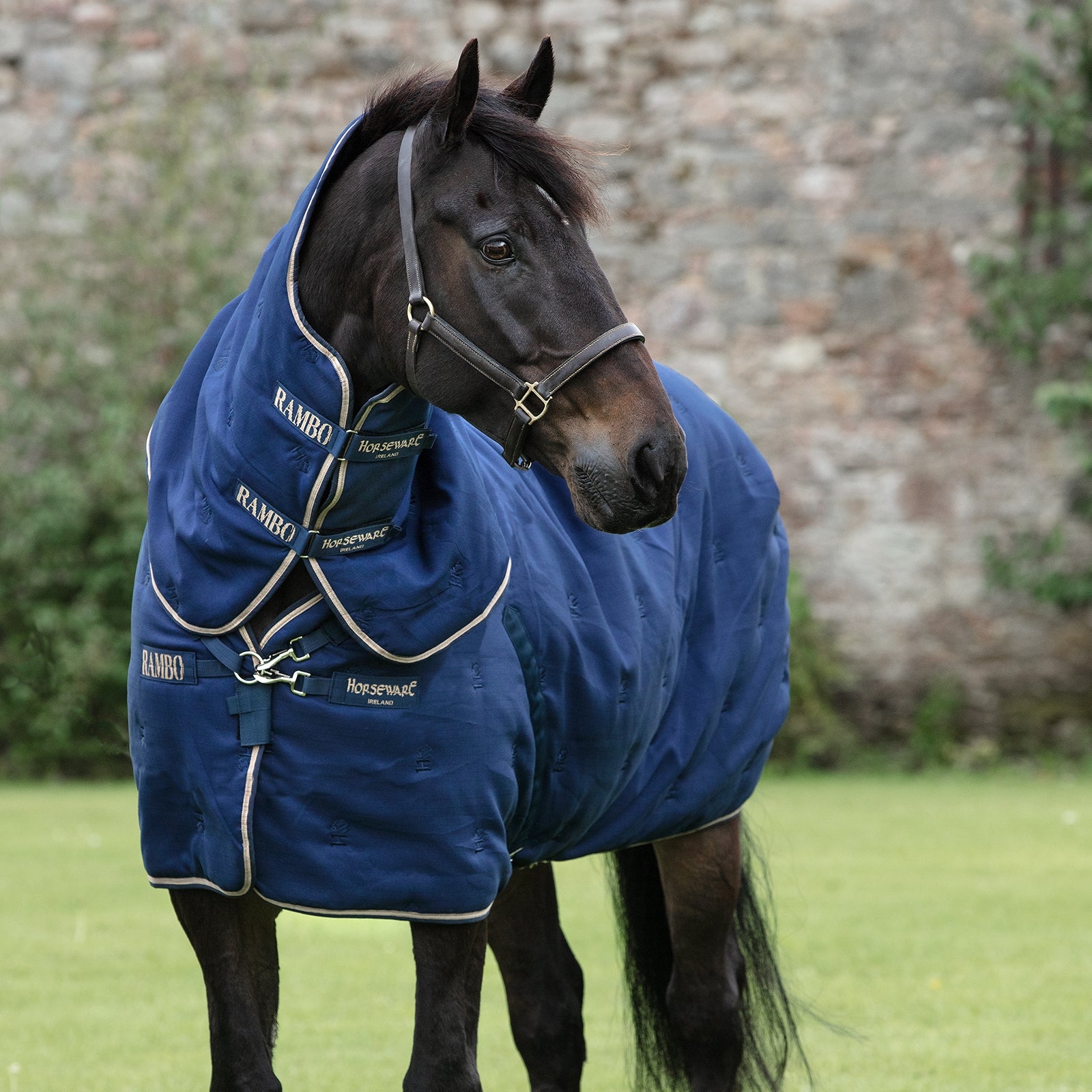 Horseware Rambo Deluxe Stable Plus inkl. Avtagbart halstäcke, 200g Hästtäcken