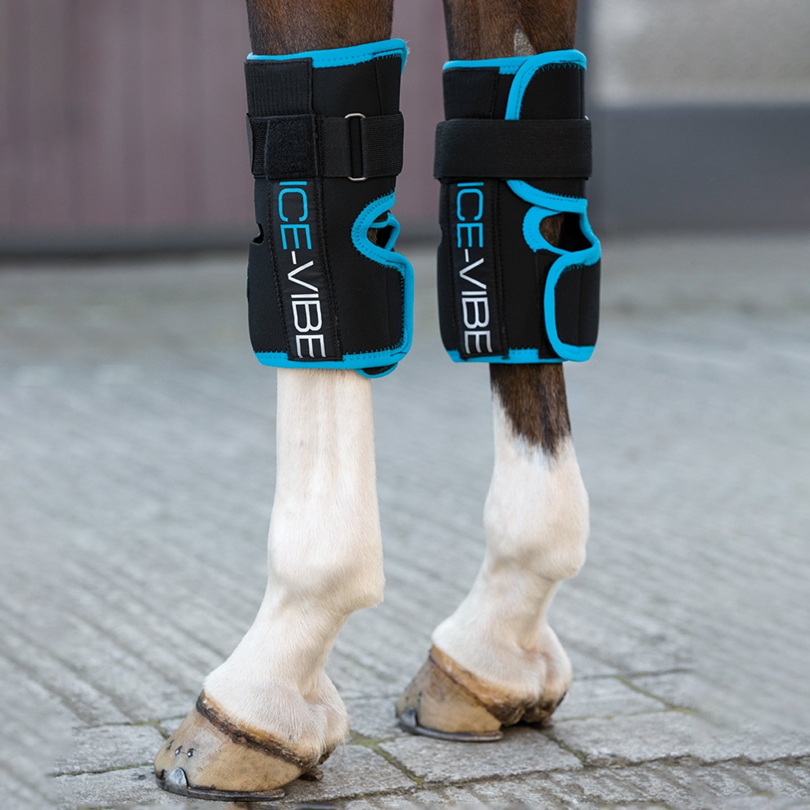 Horseware Ice-Vibe Knee Wrap Hälsovård
