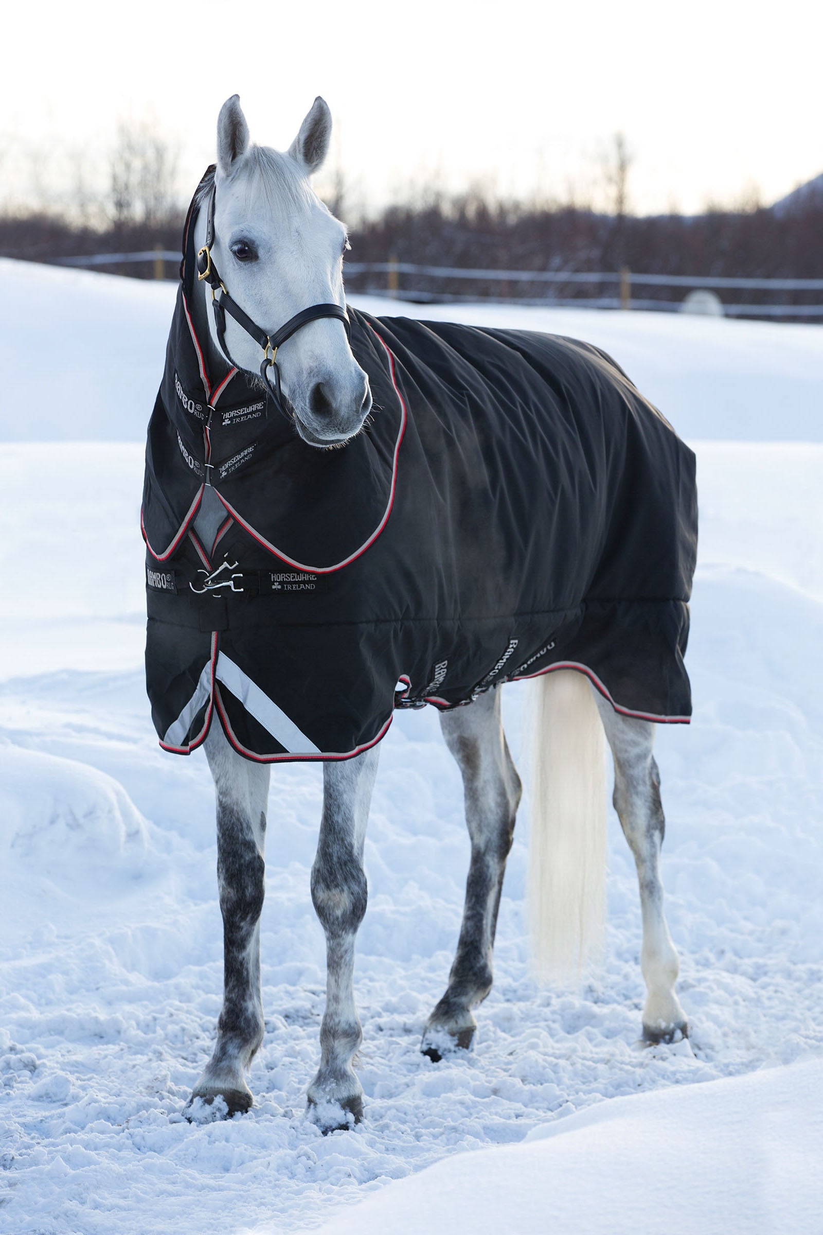 Horseware Rambo Supreme Turnout Utetäcke inkl. Avtagbart halstäcke, 420 g Hästtäcken