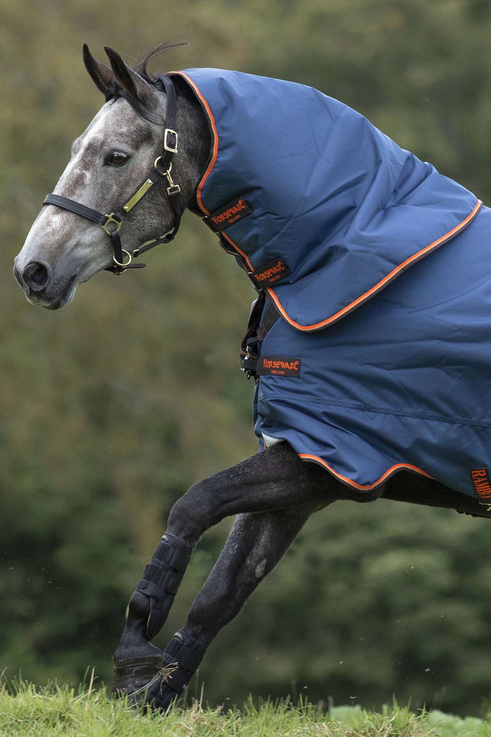 Horseware Rambo Duo Hood, 50g Hästtäcken