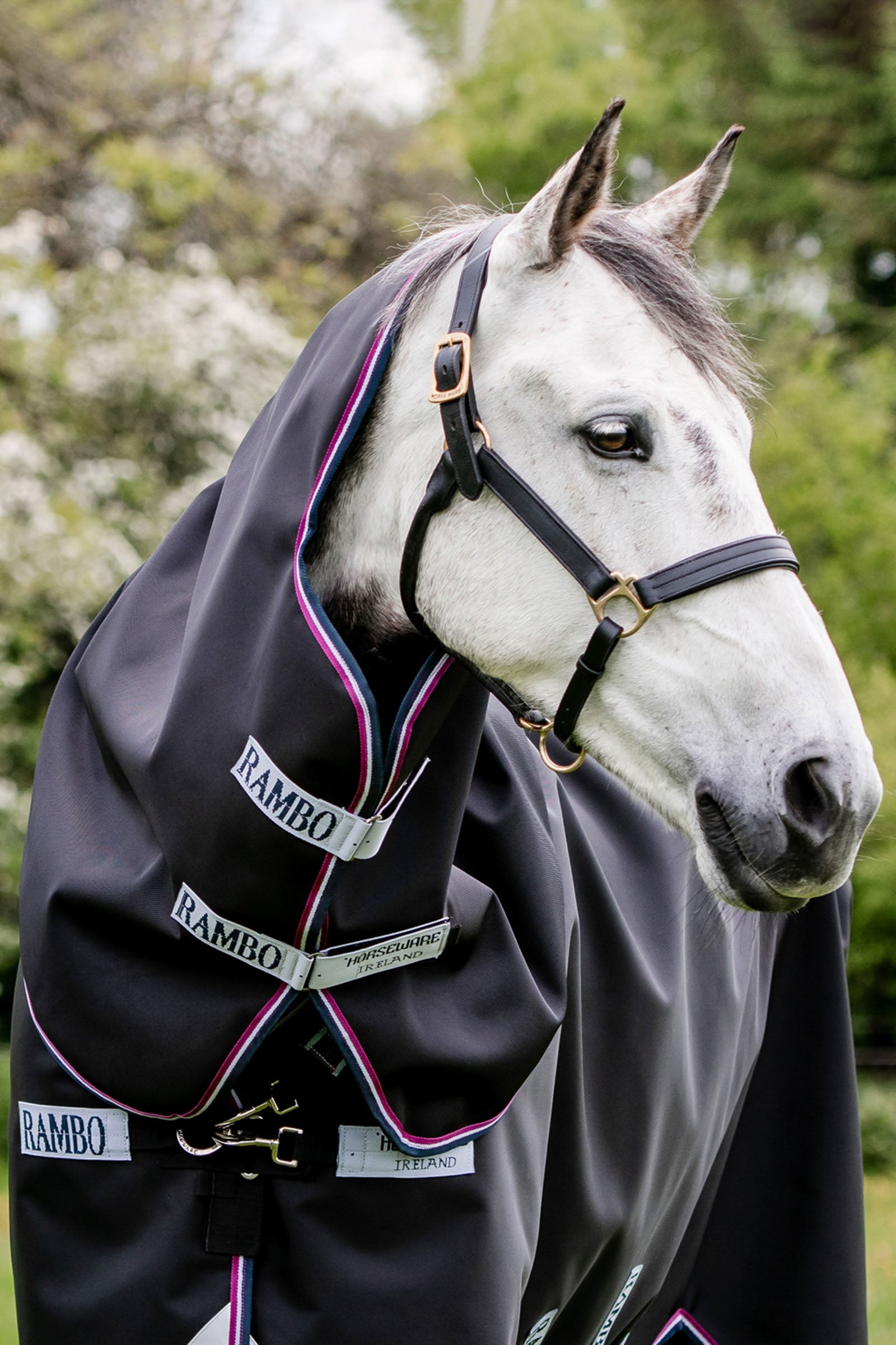 Horseware Rambo Supreme Halstäcke, 0g Hästtäcken