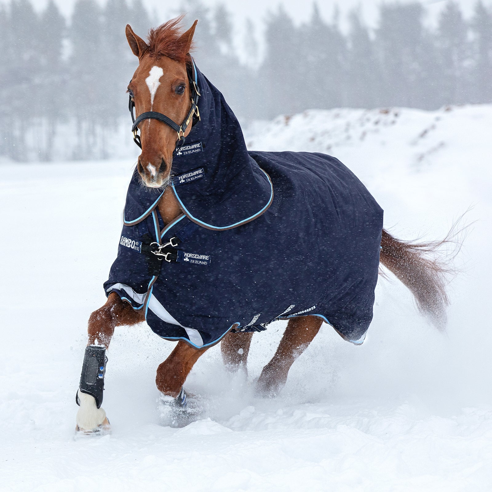 Horseware Rambo Duo Turnout Utetäcke inkl. Avtagbart halstäcke 100g Hästtäcken