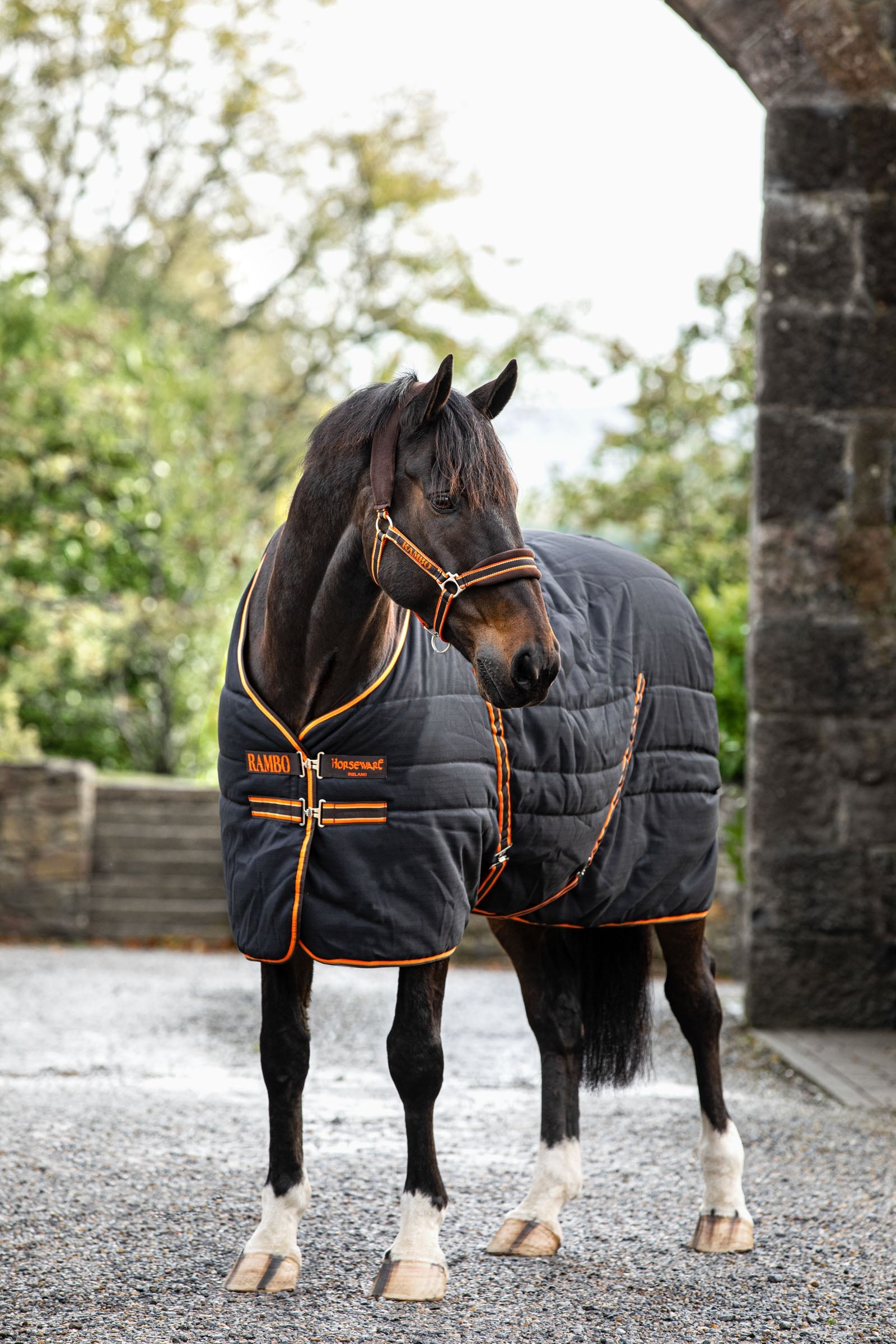 Horseware Rambo Stable 200g Horse Rugs