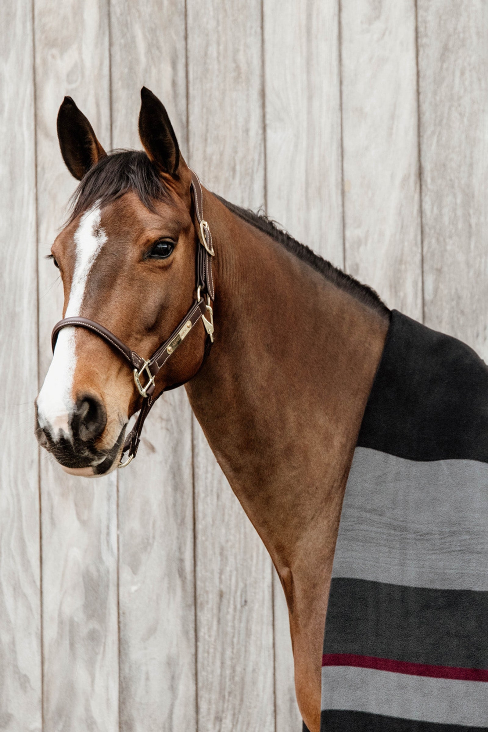 Kentucky Horsewear Heavy Fleece Rug Horse Rugs