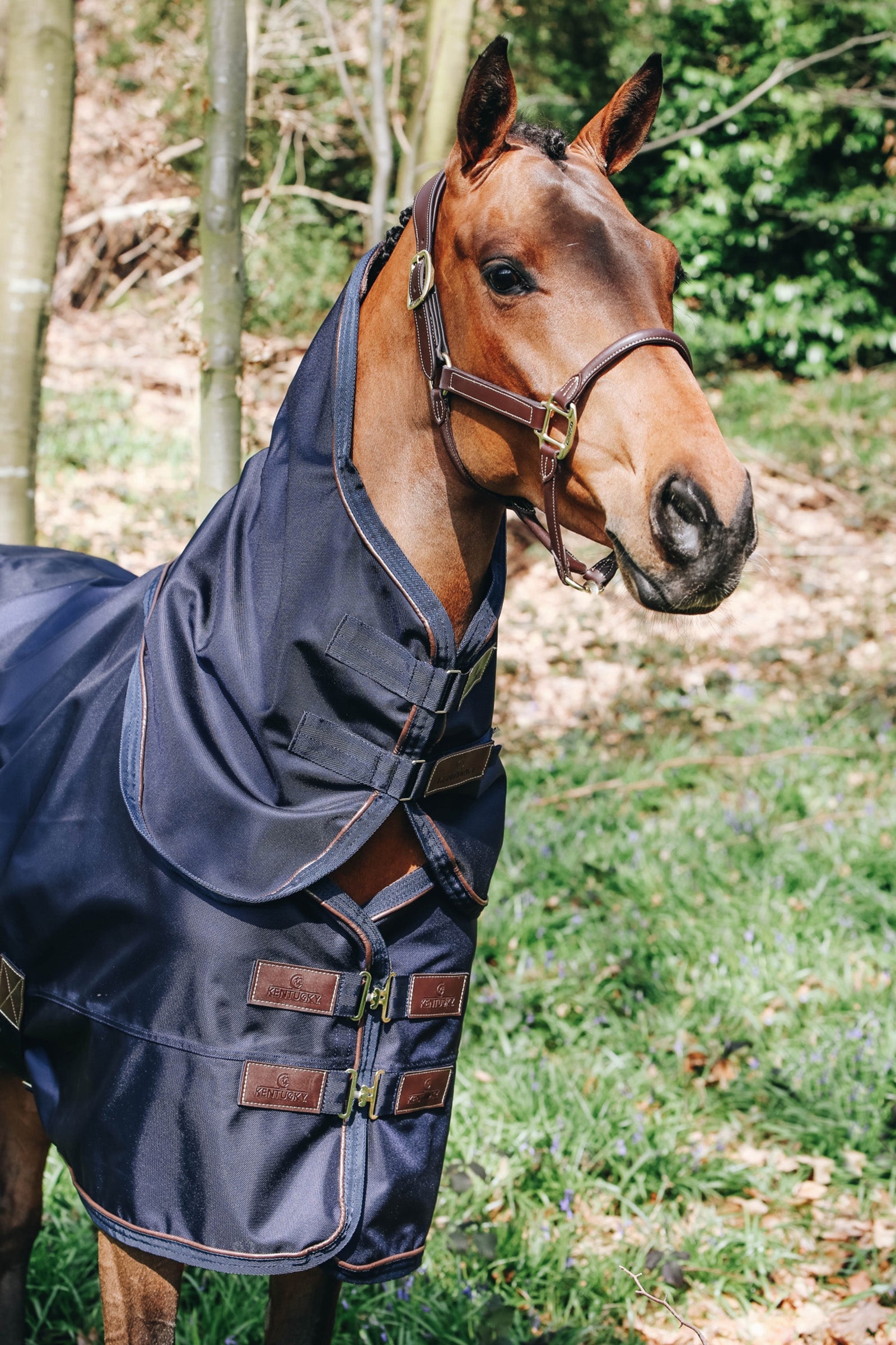 Kentucky Horsewear All Weather Neck Halstäcke, 0g Hästtäcken
