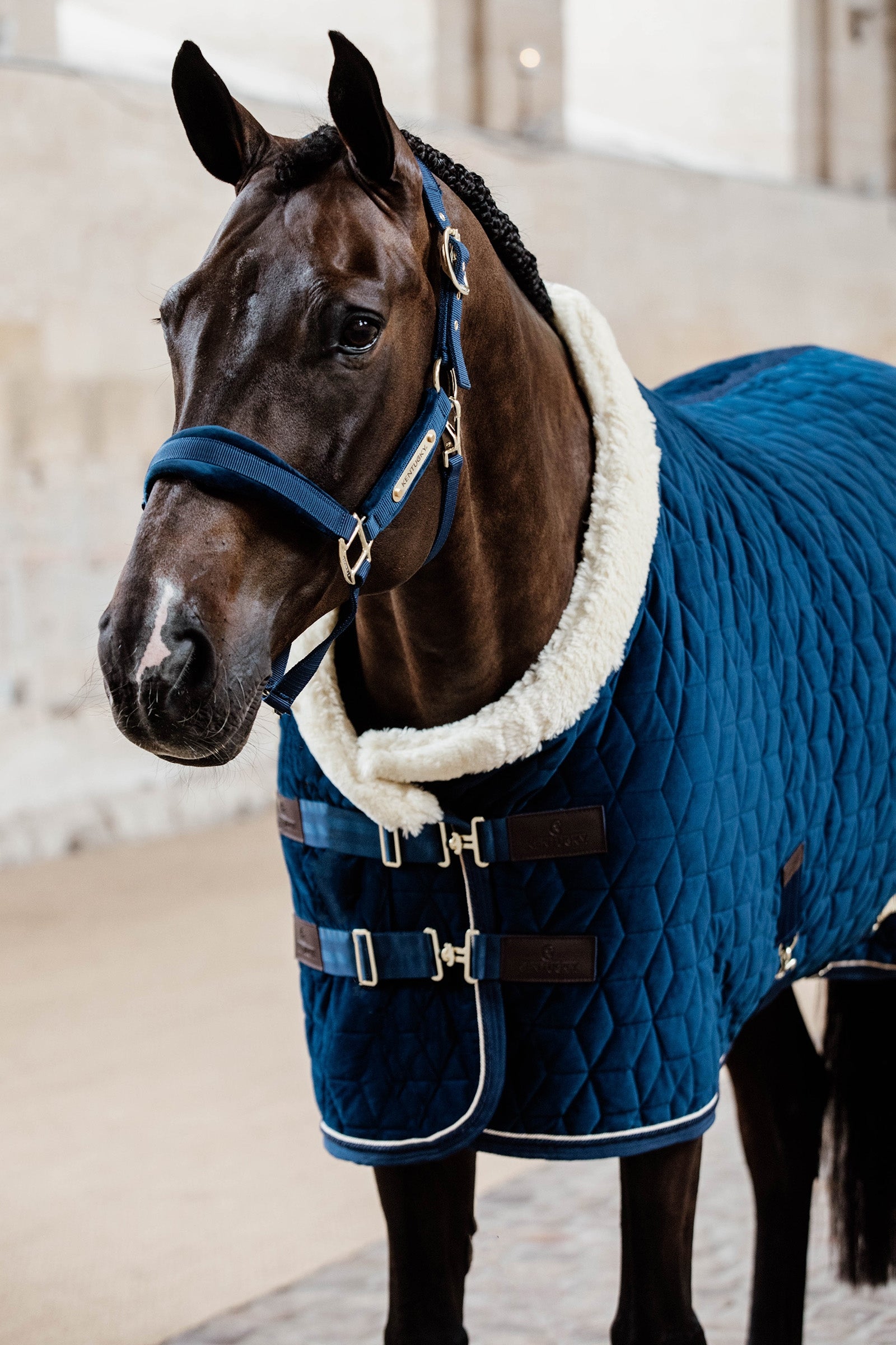 Kentucky Horsewear Velvet Pony Show Rug, 160g Horse Rugs