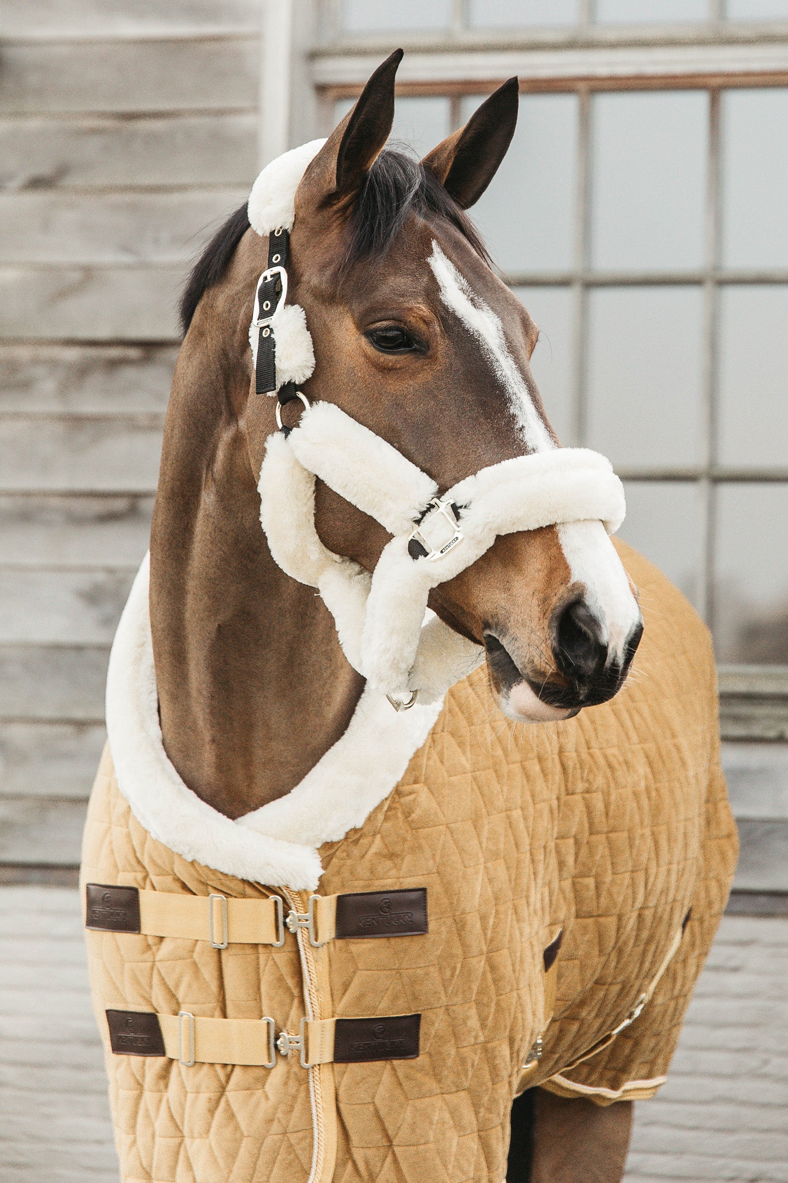 Kentucky Horsewear Kentucky Velvet Show Rug täcke, 160g Hästtäcken
