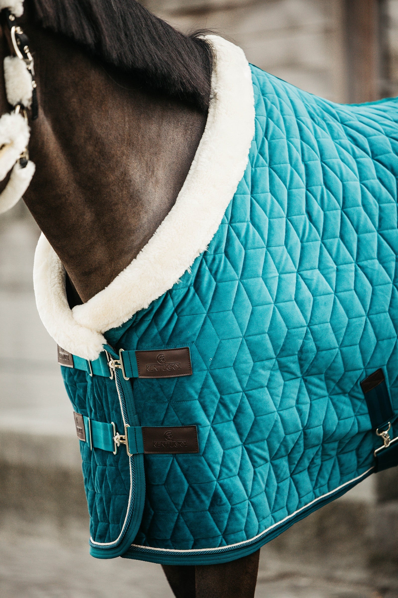 Kentucky Horsewear Velvet Show Rug, 160g Horse Rugs
