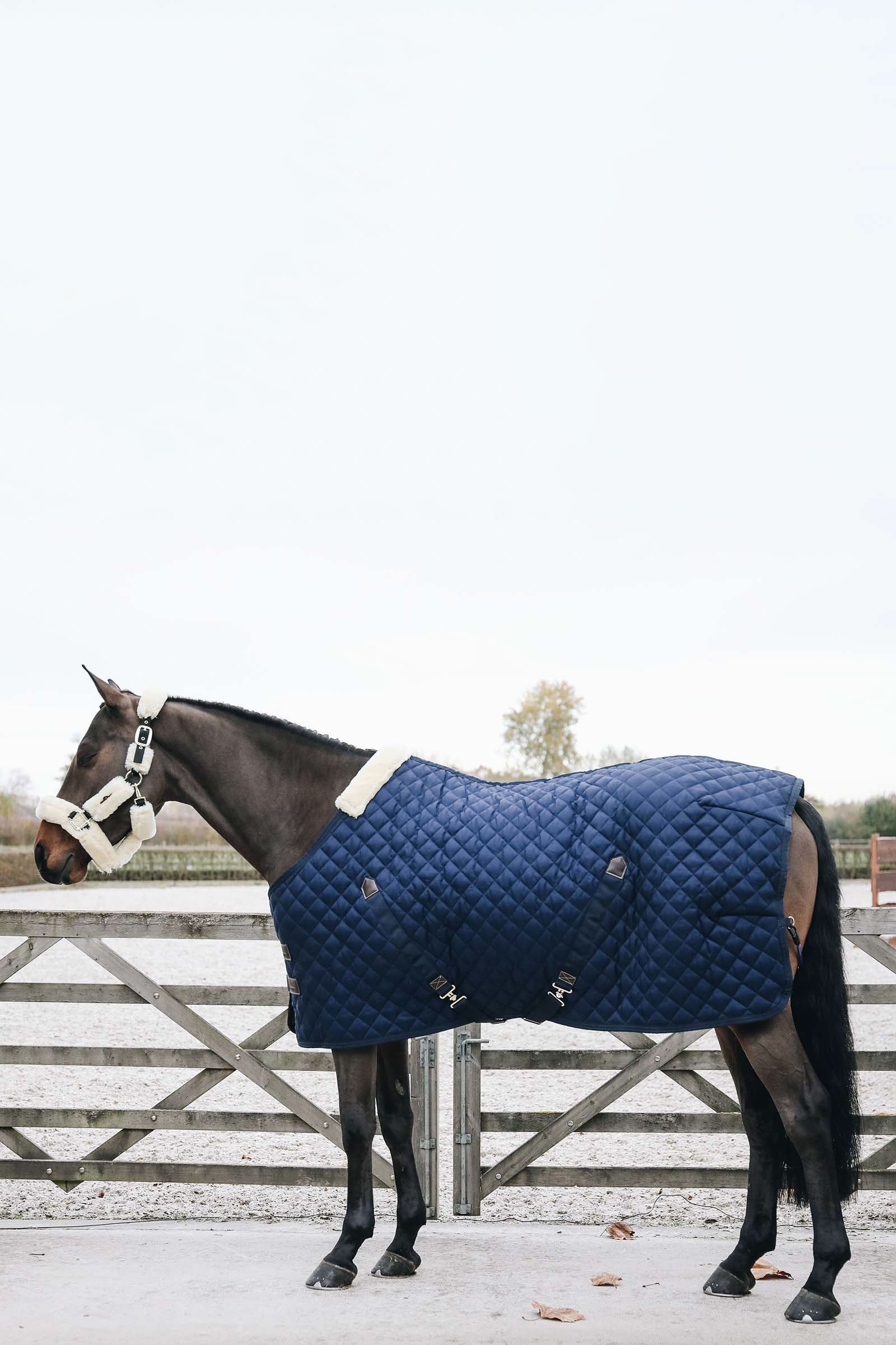 Kentucky Horsewear Stable Rug, 200g Horse Rugs