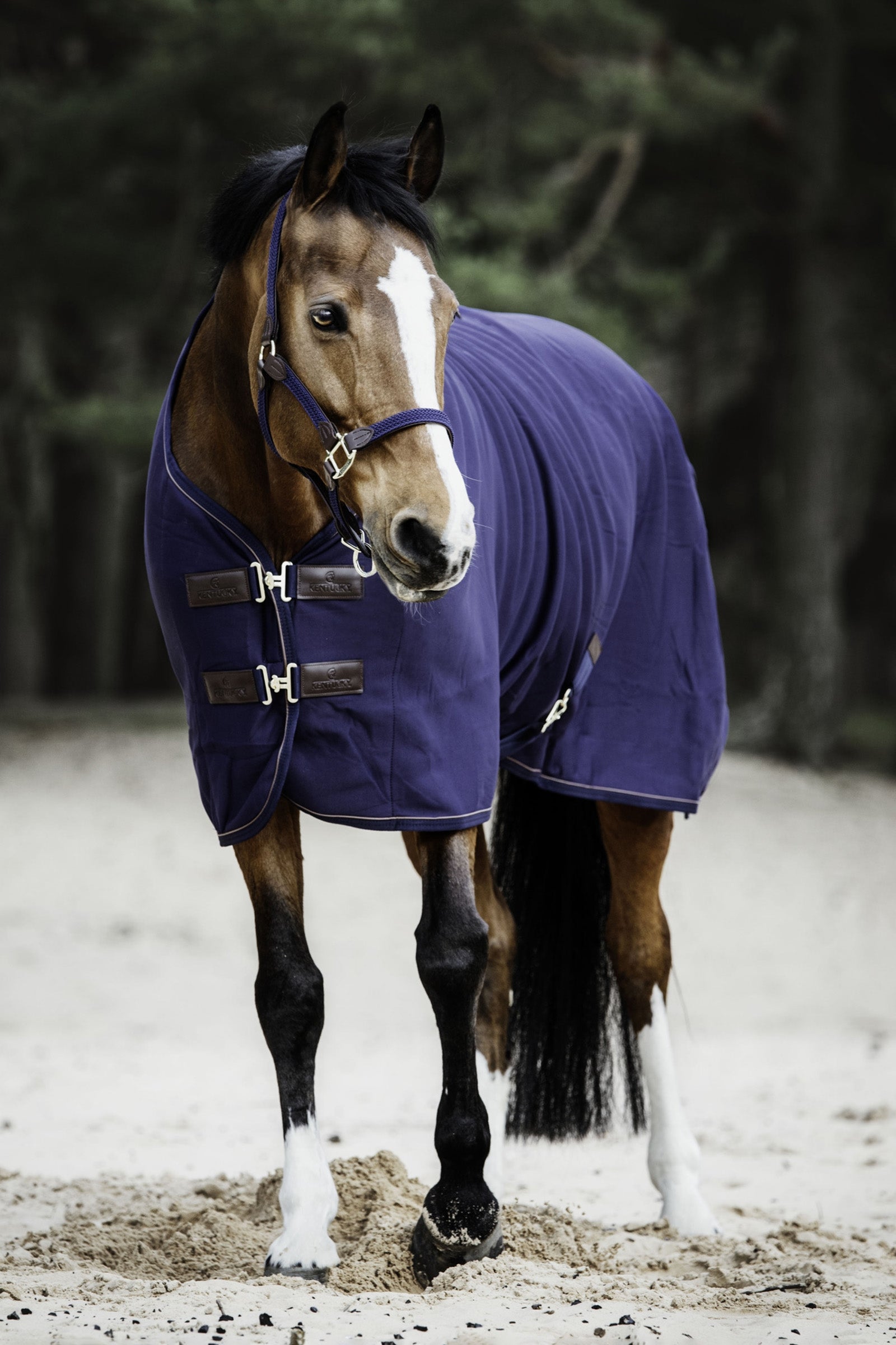 Kentucky Horsewear Tiny Cooler svettäcke i fleece Hästtäcken