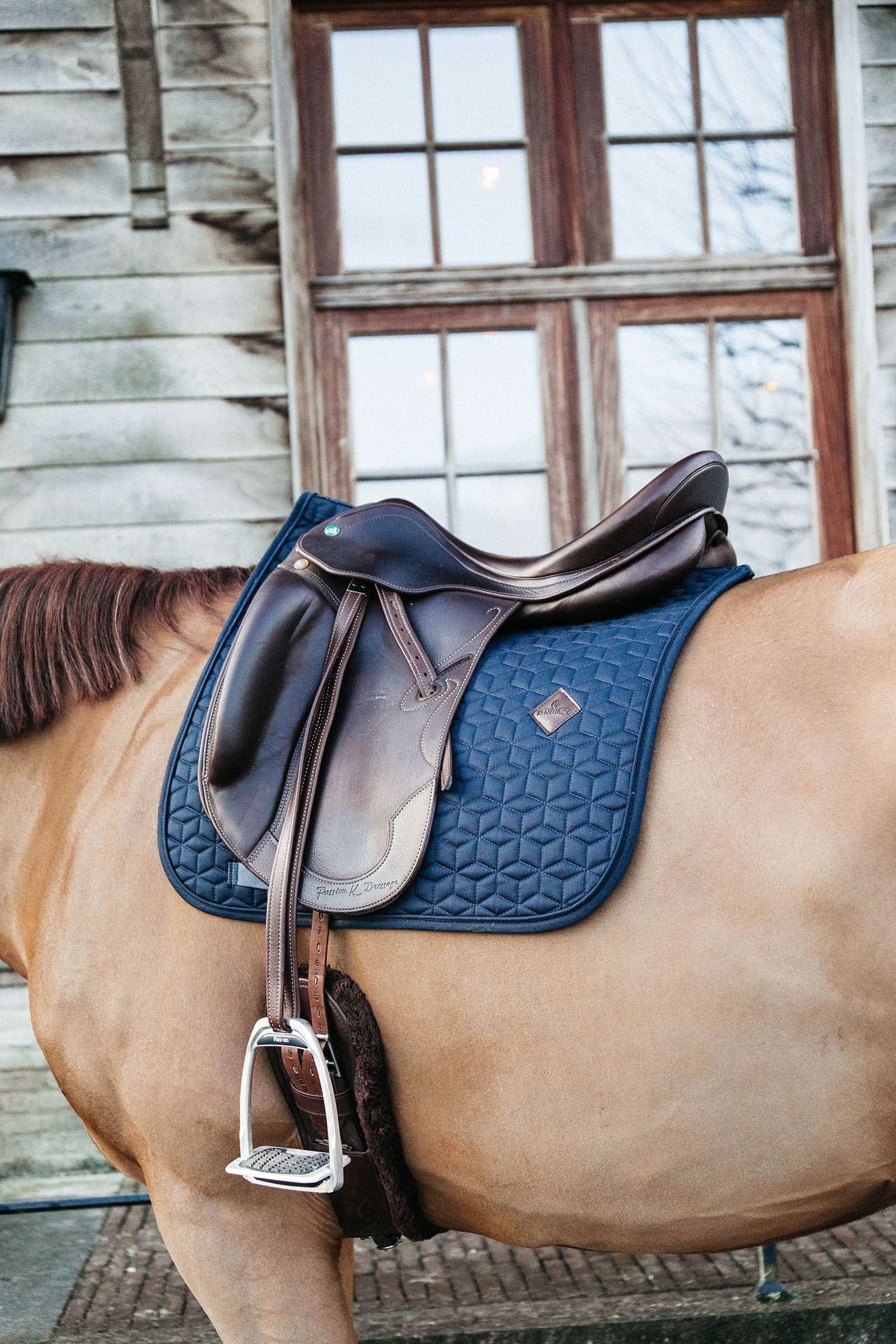 Kentucky Horsewear Basic dressyrschabrak Schabrak