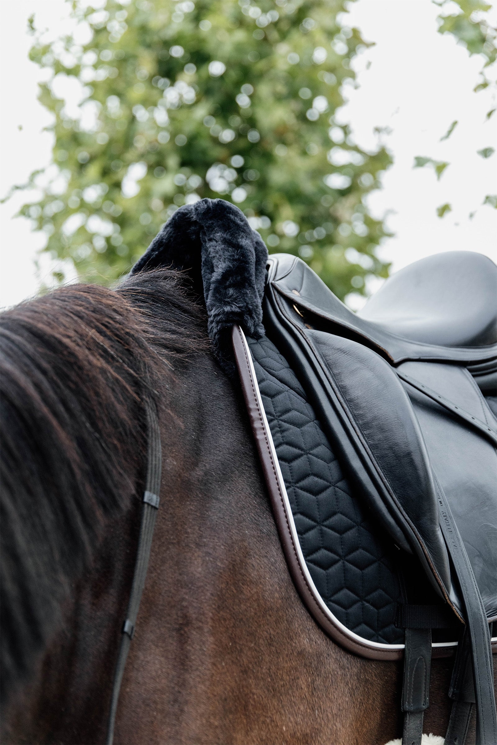 Kentucky Horsewear Skin Friendly Dressage Saddle Pad Saddle Pads