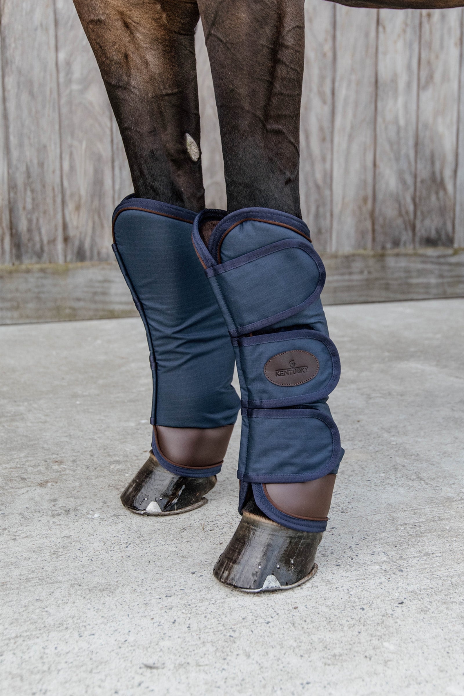 Kentucky Horsewear transportskydd Leg Protection & Hoof Protection for Horses