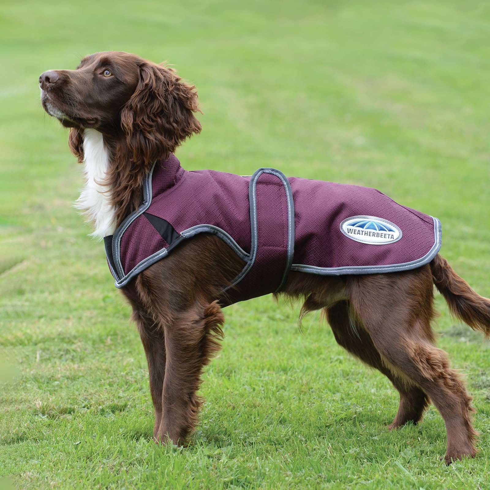 Weatherbeeta Comfitec Premier Free Parka Deluxe Dog Coat, 220g Dog Accesories