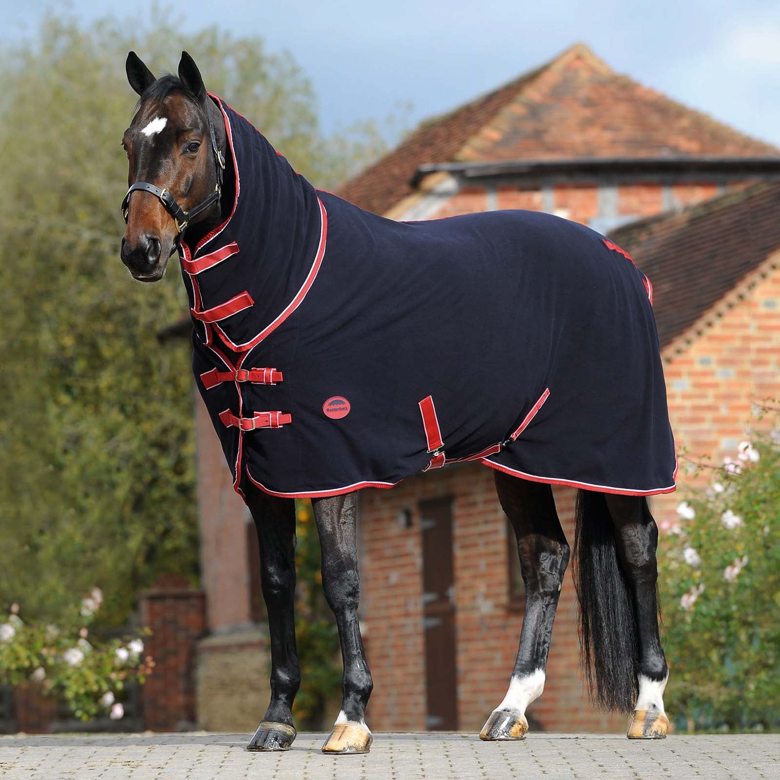 Weatherbeeta Fleece Cooler Combo with Fixed Neck Horse Rugs