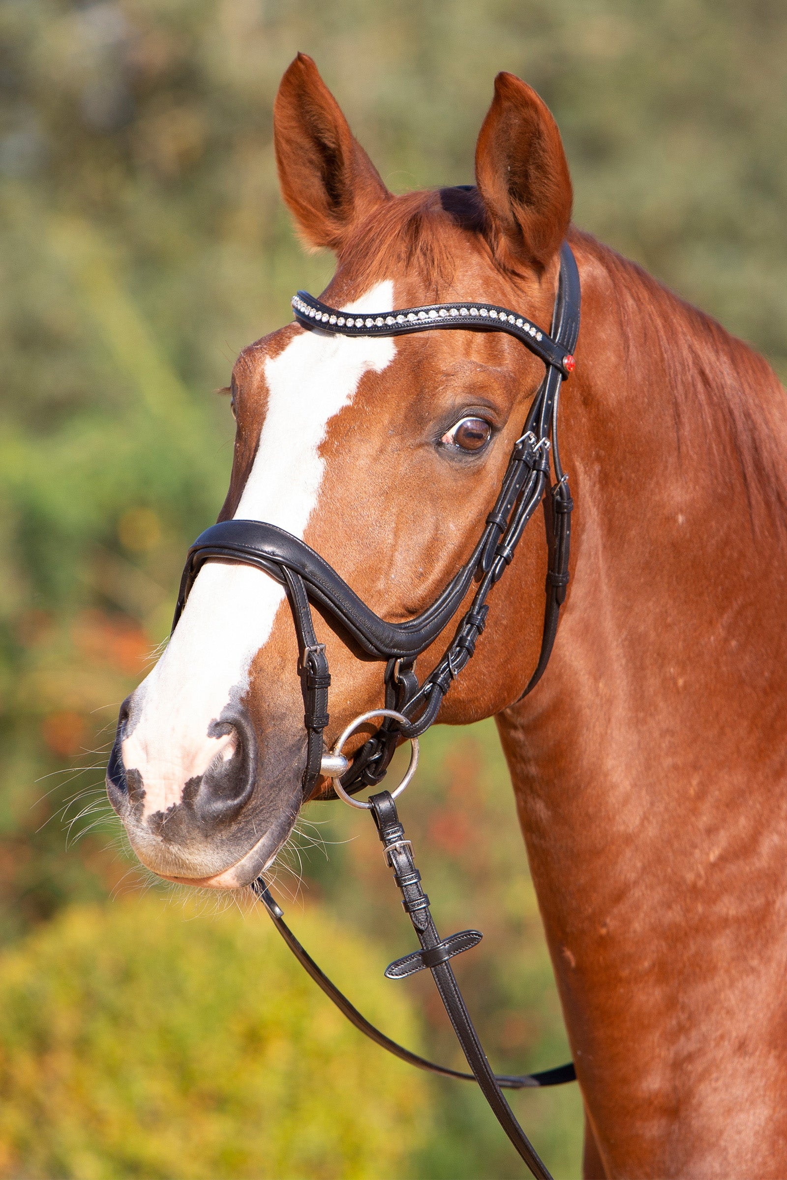 Kieffer Ultrasoft® Amy Bridle Bridles & Reins