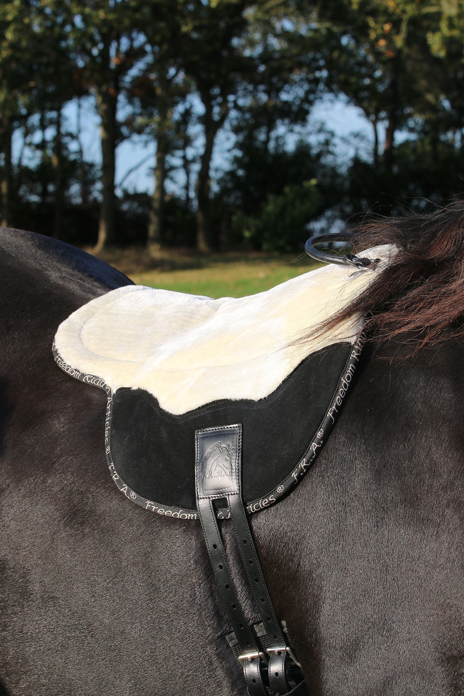 F.R.A. Freedom Riding Articles Free Bareback Pad, Full Saddles, Girths & Stirrups