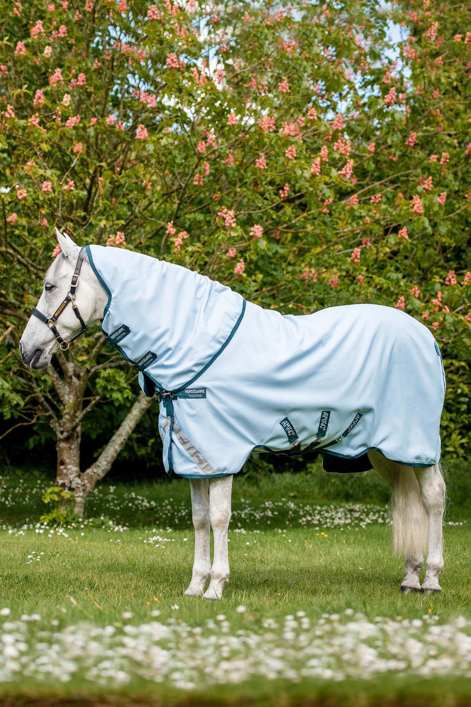 Horseware Amigo Plant Dye Turnout utetäcke, 50g Hästtäcken