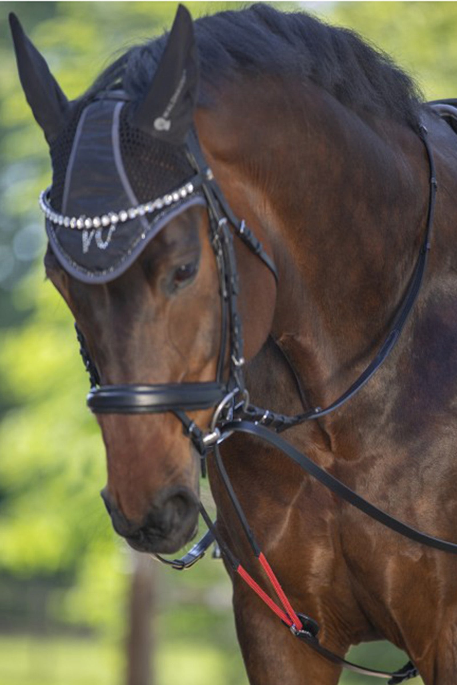Waldhausen WTrainrein Bridles & Reins