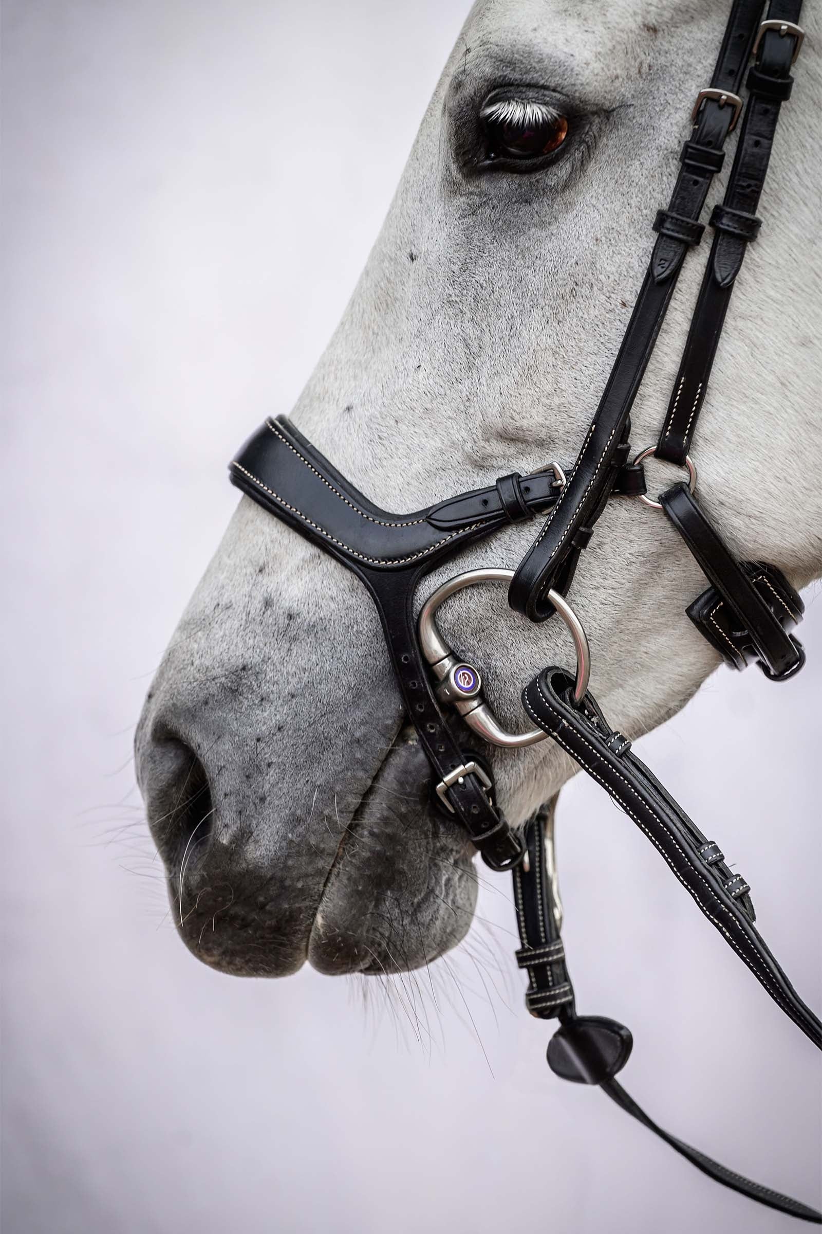 PS of Sweden Pioneer Bridle Bridles & Reins