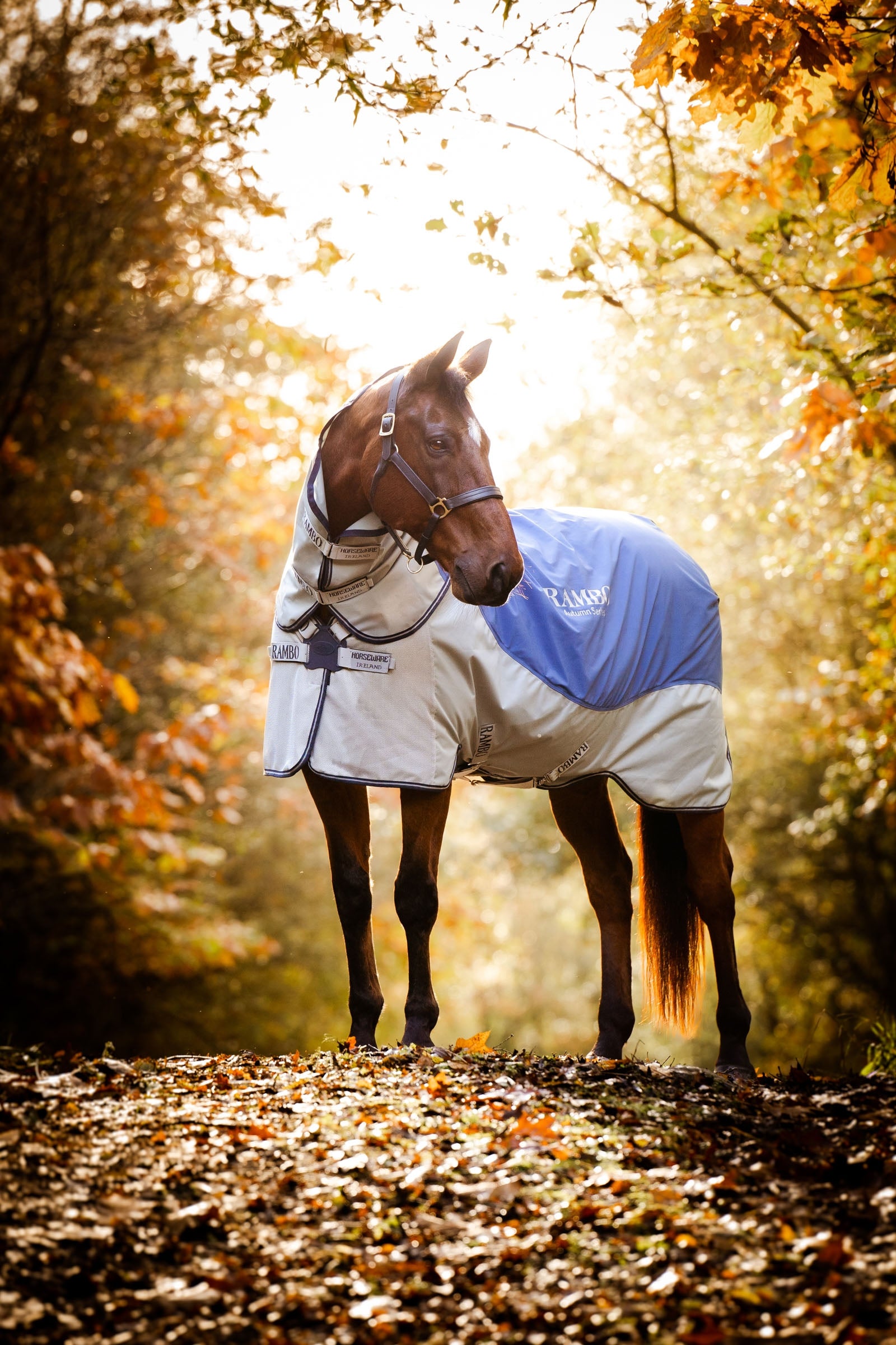Horseware Rambo Autumn Series utetäcke med undertäcke (0 g / 100 g) Hästtäcken