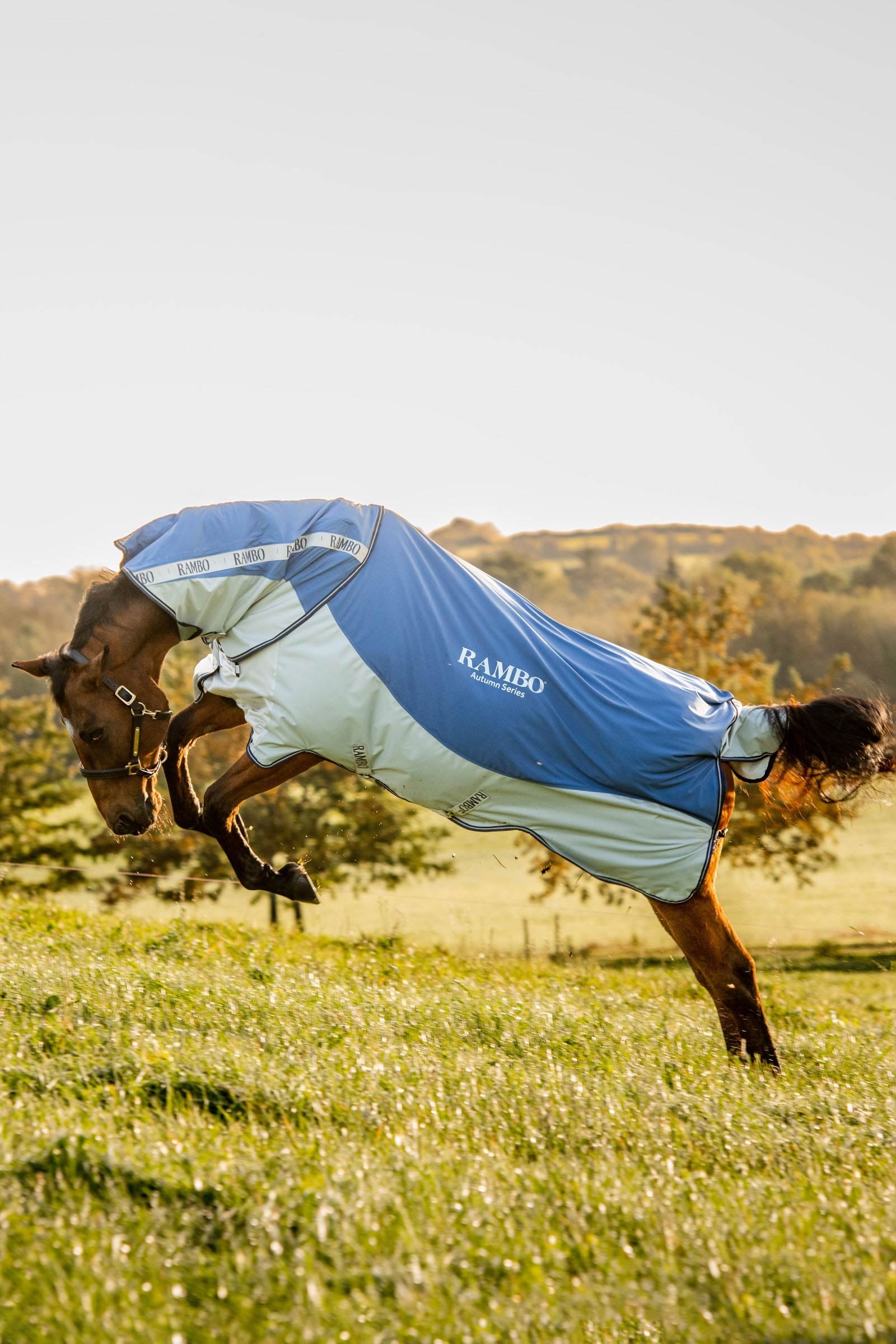 Horseware Rambo Autumn Series Turnout Rug With Liner (0g / 100g) Horse Rugs