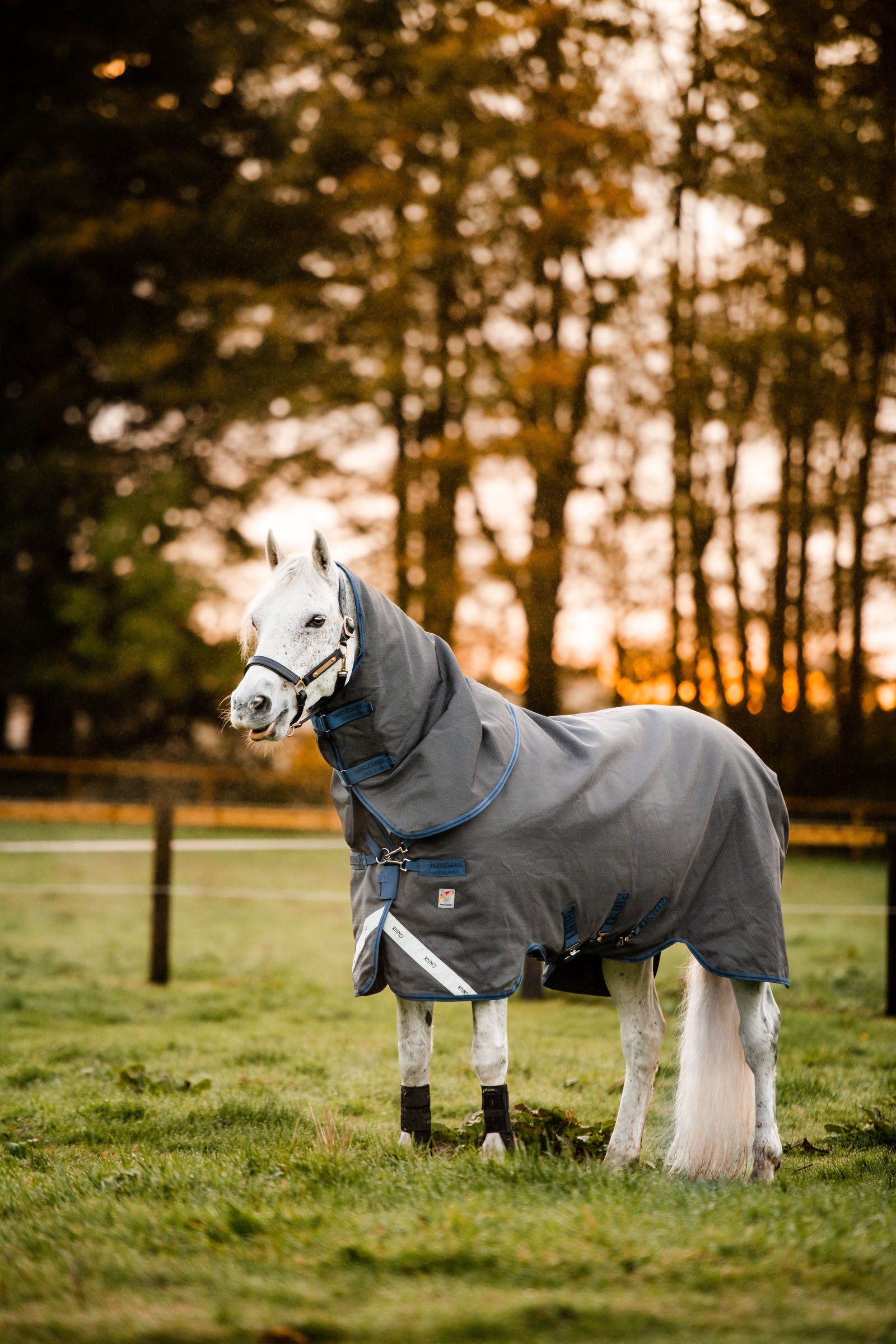 Horseware Rhino Hexstop Plus Vari-Layer Turnout Rug, 250g Horse Rugs