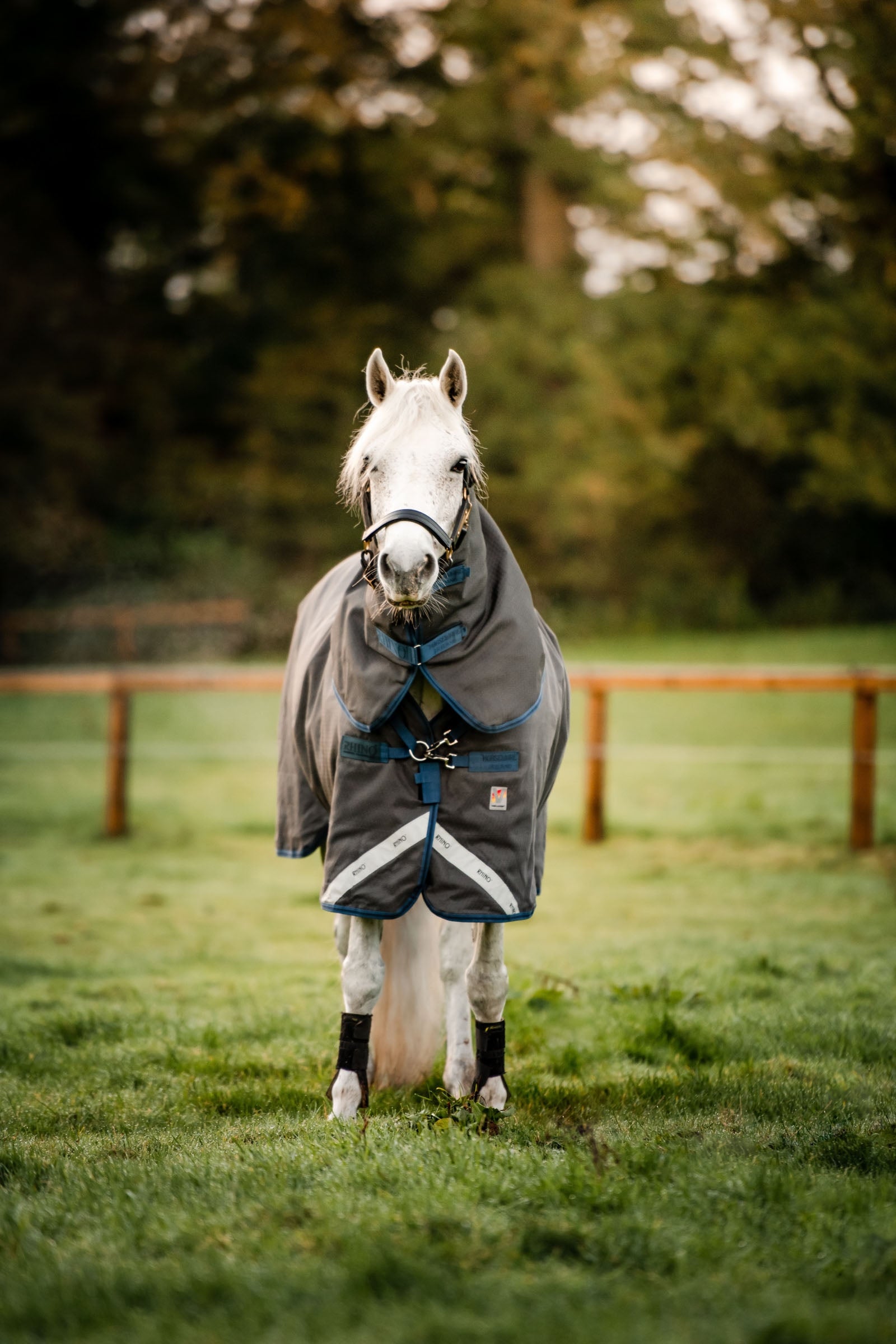 Horseware Rhino Hexstop Plus Vari-Layer Turnout Rug, 250g Horse Rugs