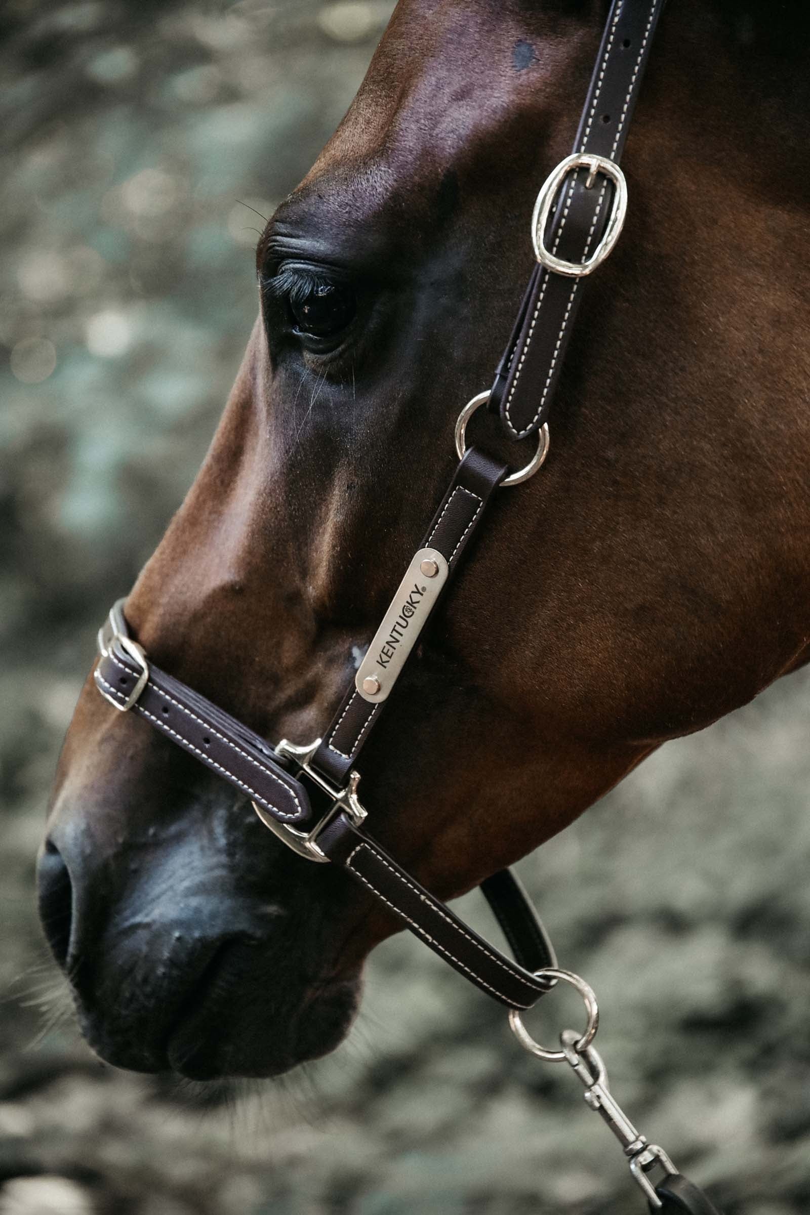 Lifestyle shot 4