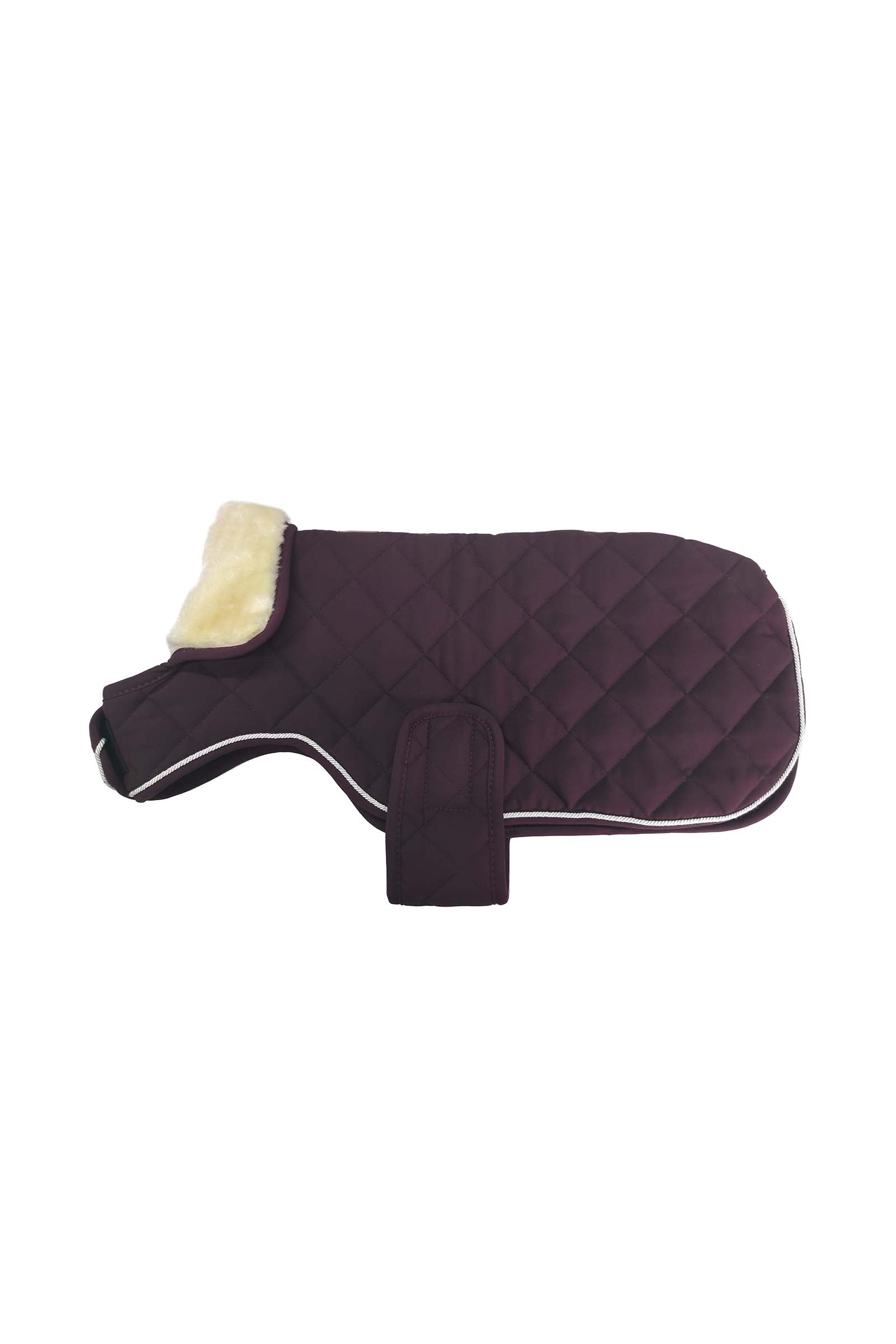Harcour Rocket Dog Coat Dog Accesories