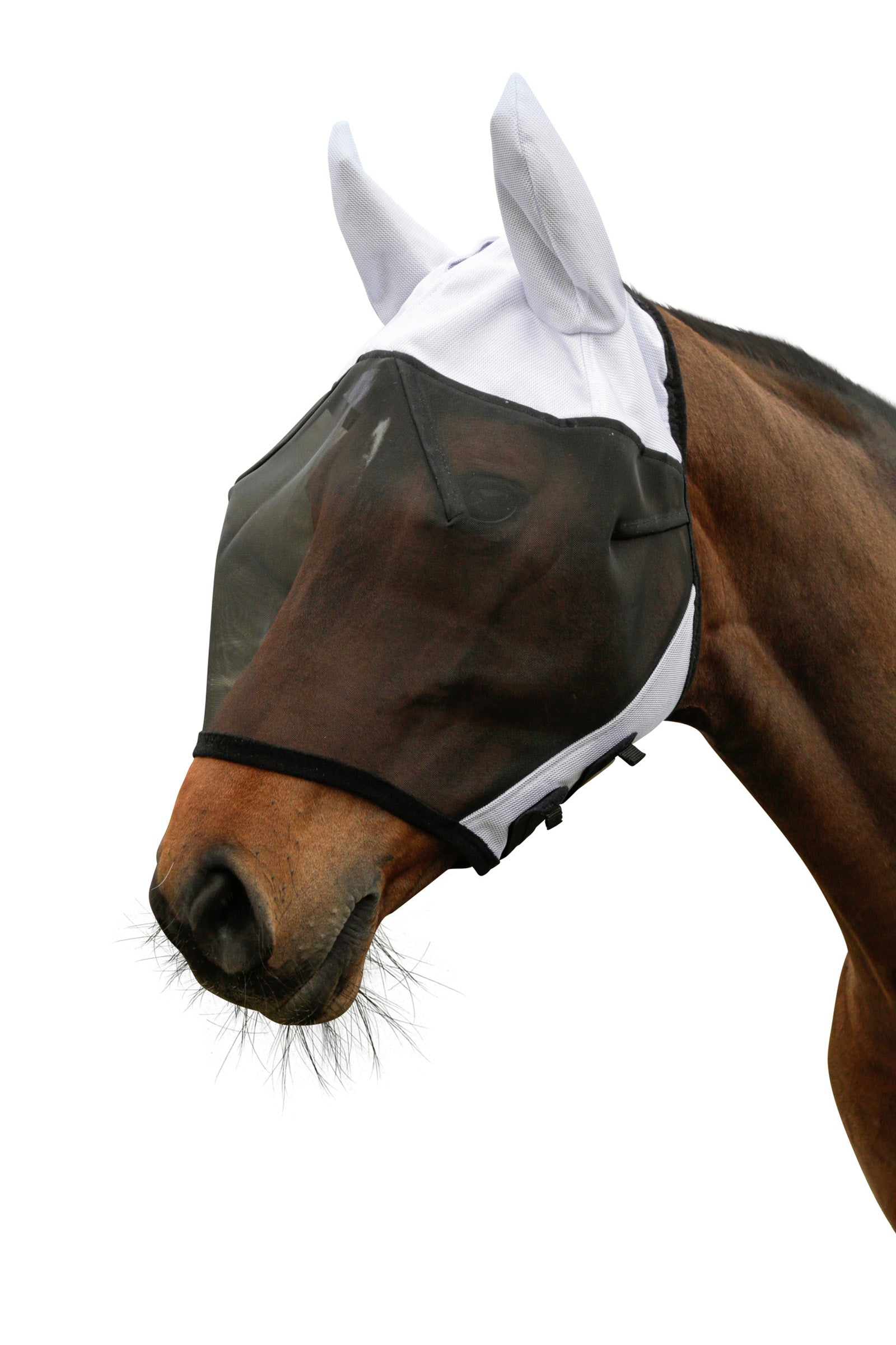 Covalliero SuperFly Fly Mask with Ear Protection Antifly Protection for Horses