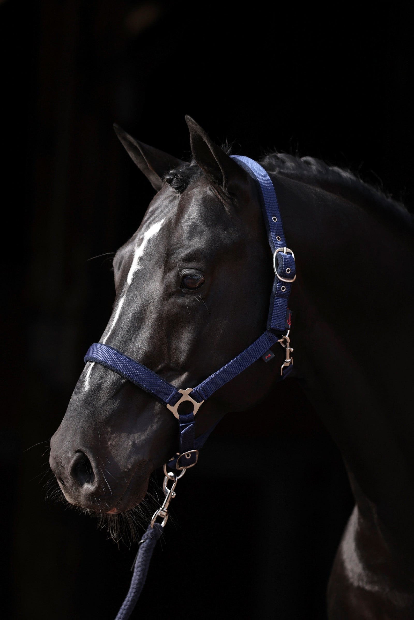 Covalliero Dexter Grimma med fleecefoder Grimma & grimskaft