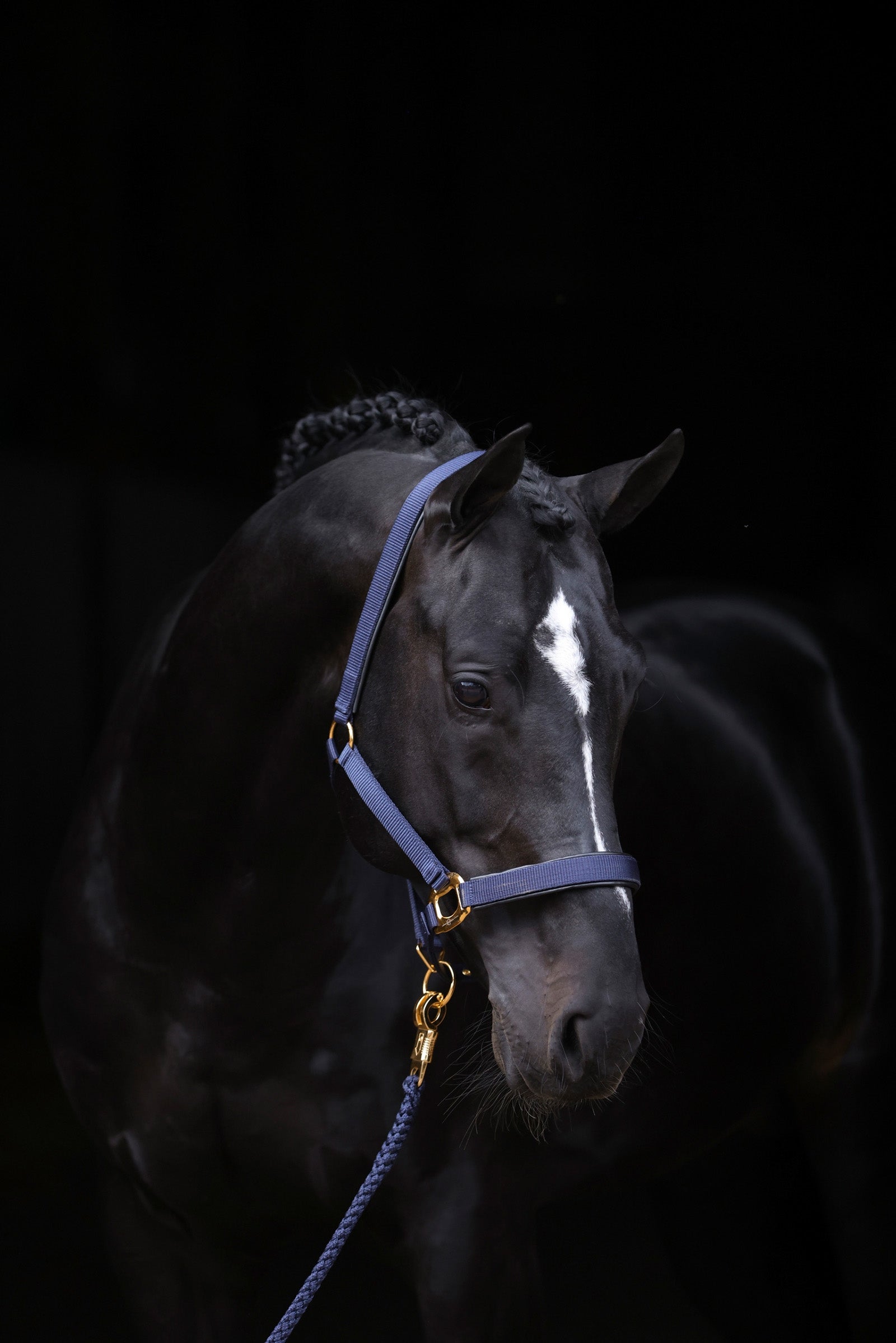 Covalliero TopLine Grimma Grimma & grimskaft