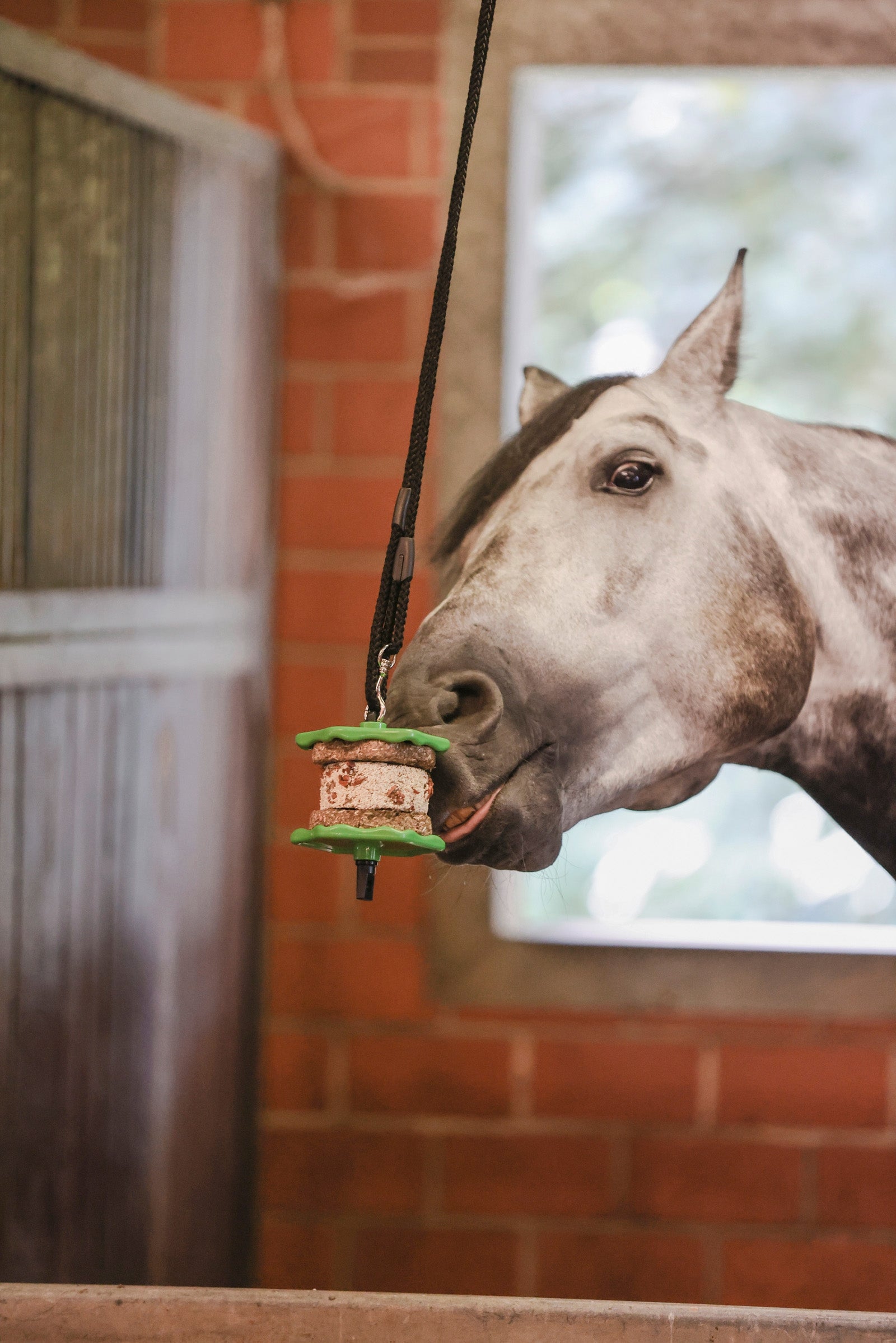 Delizia Sandwich Horse Snack, 195g Horse Feed & Nutrition