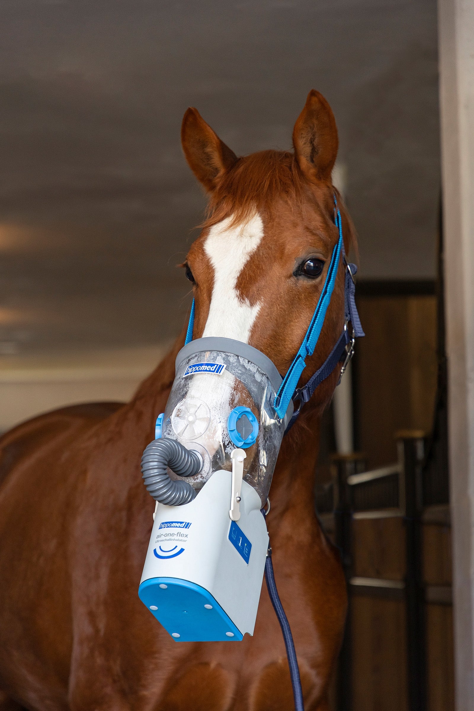Hippomed AirOne Flex Battery Ultrasound Inhaler with Mask, Warmblood Horse Feed & Nutrition