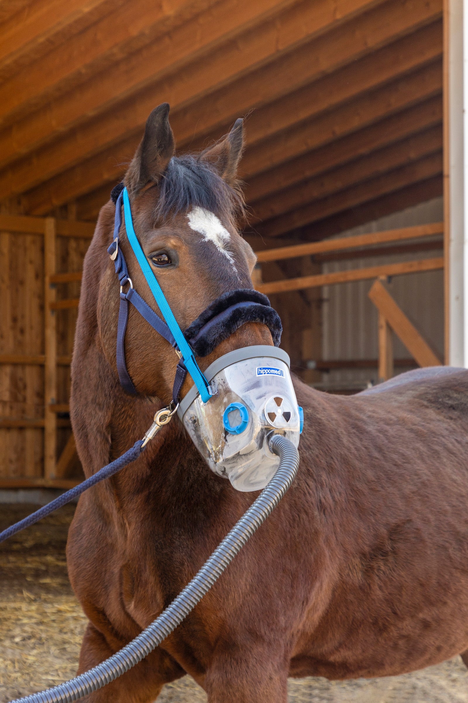 Hippomed Inhalation Mask incl. Accessories for AirOne, Draft Horse Feed & Nutrition