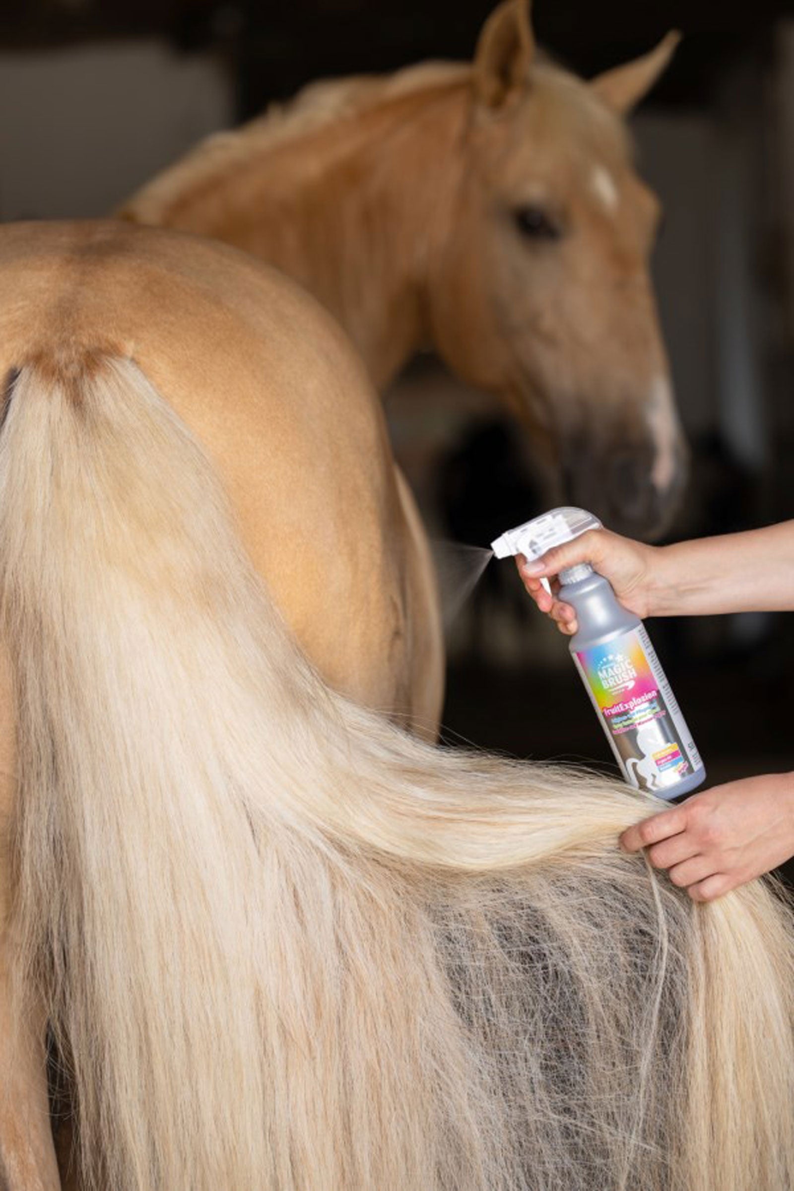 Magic Brush MagicBrush Fruit Explosion Coat Shine and Mane Care Spray, 500ml Horse Health Care