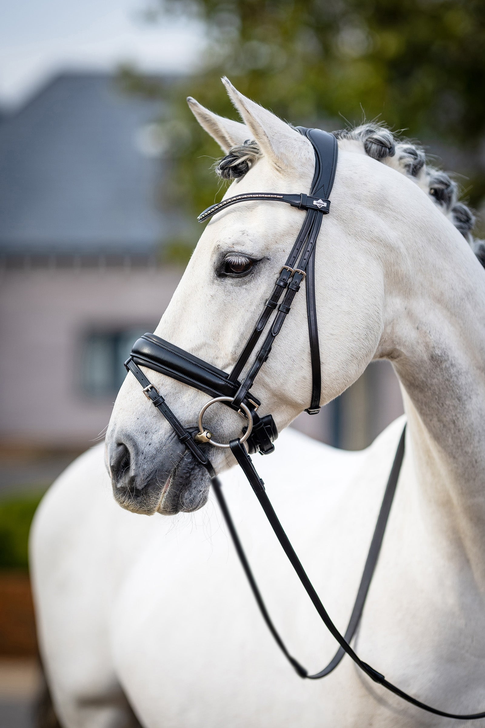 LeMieux Kudos Classic Dressage Bridle Bridles & Reins