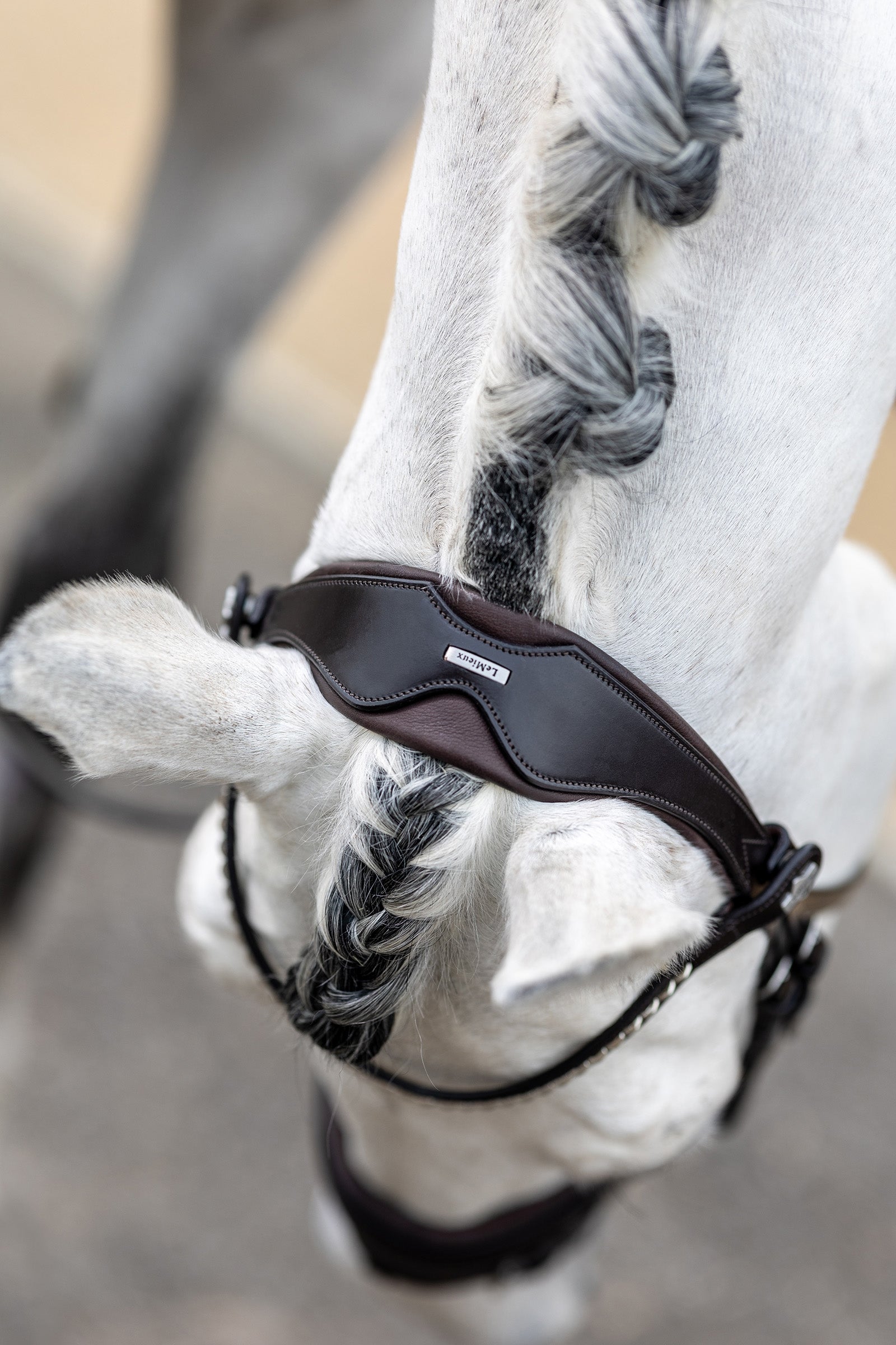LeMieux Kudos Classic Dressage Bridle Bridles & Reins