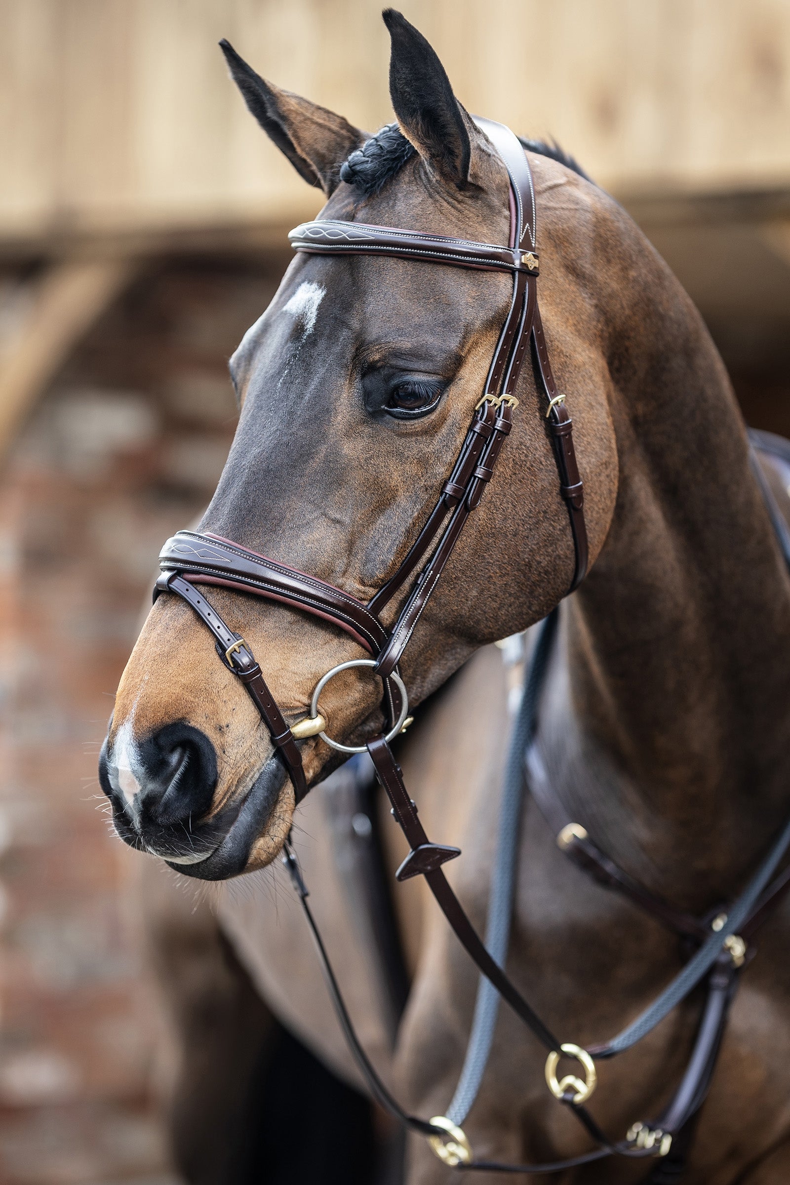 LeMieux Competiton Flash Bridle Bridles & Reins