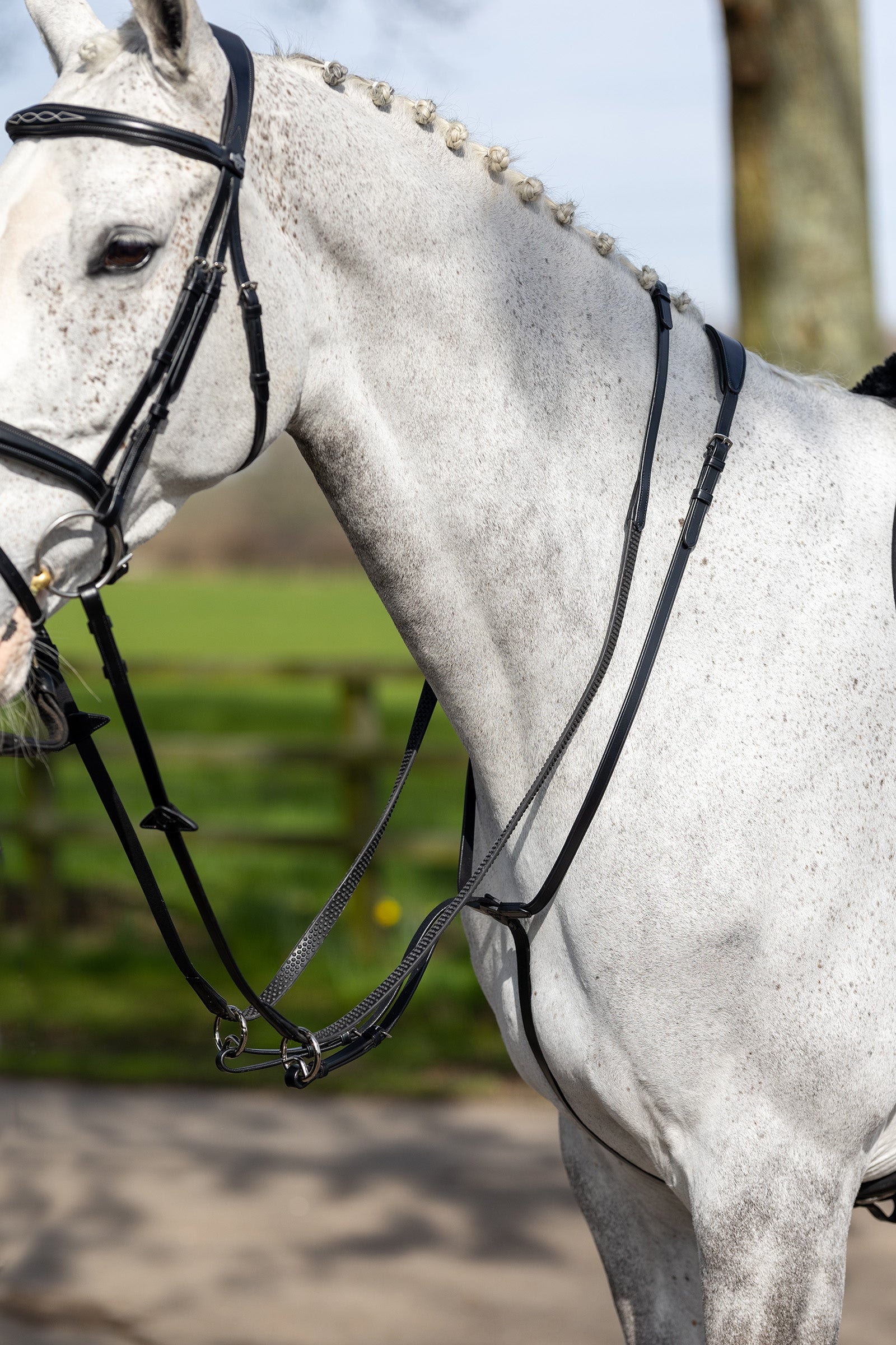 LeMieux rörlig martingal Träns & Tyglar