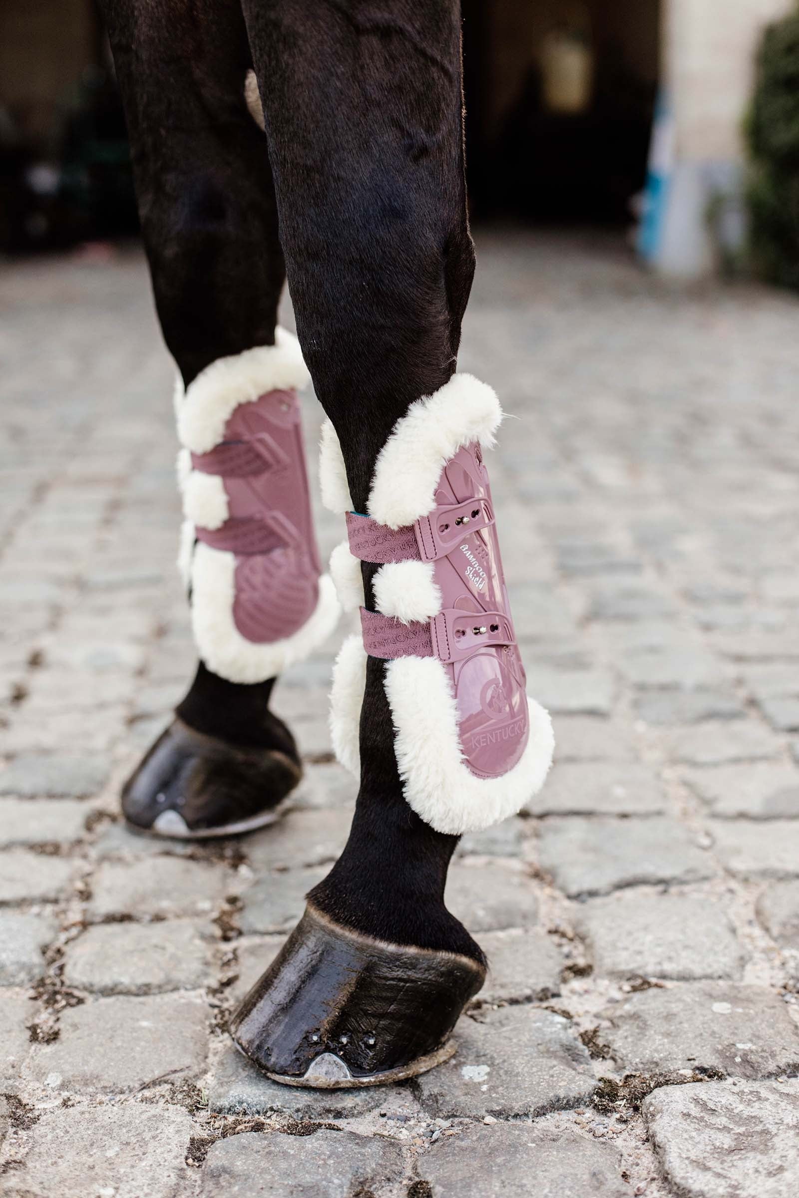 Kentucky Horsewear senskydd med veganskt fårskinn, bambu, elastisk Leg Protection & Hoof Protection for Horses
