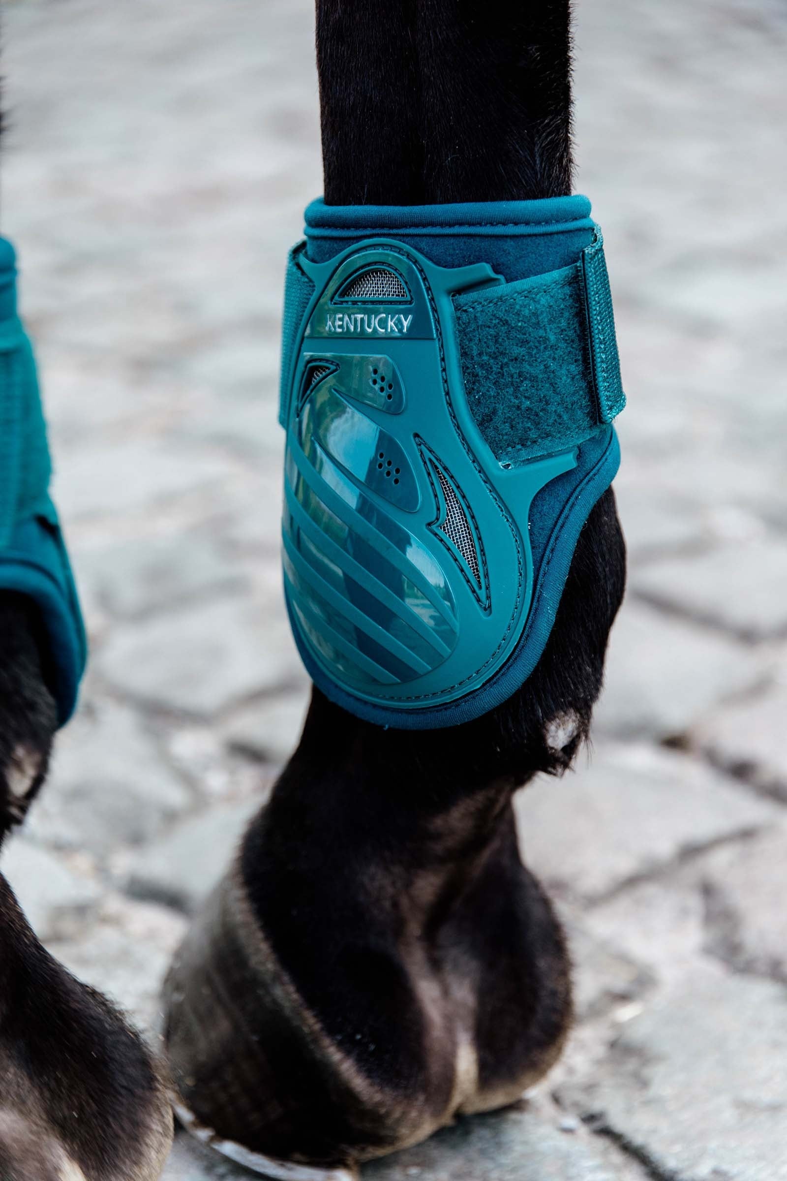 Kentucky Horsewear Young Horse Fetlock Boots Leg & Hoof Protection
