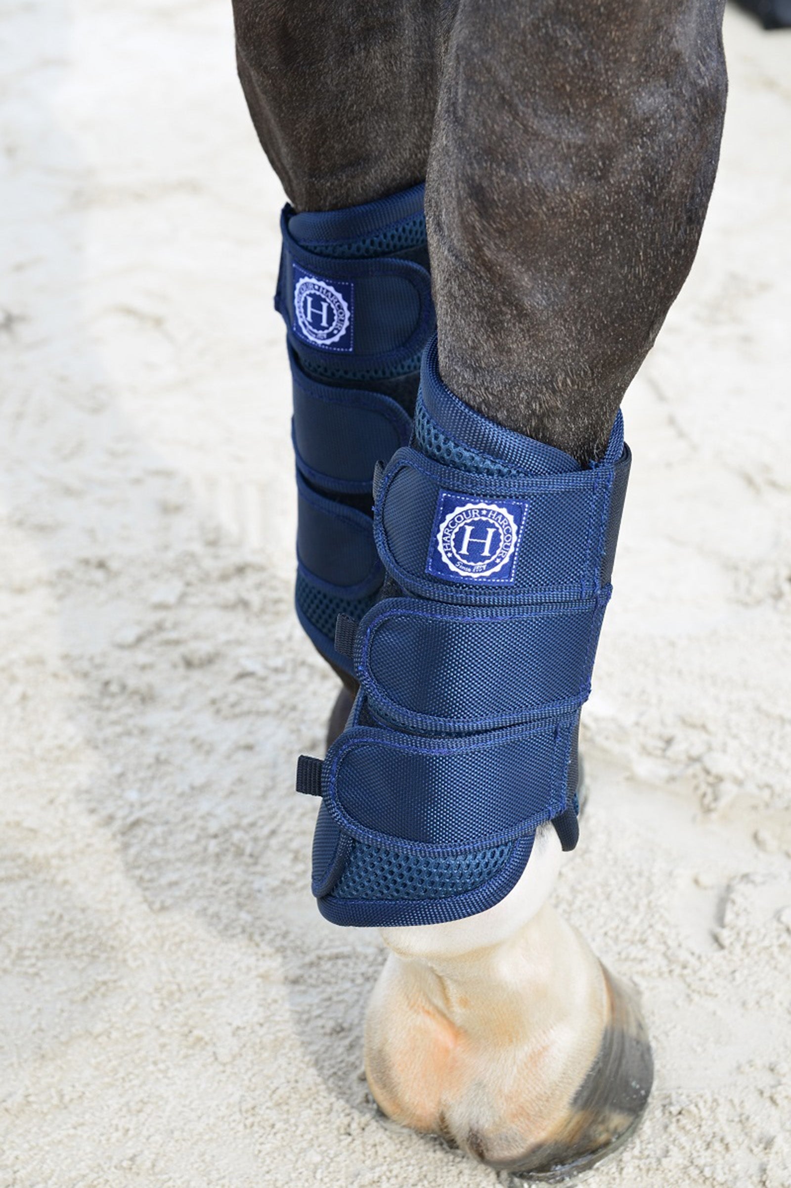 Harcour Cosmic Mesh senestövlar Leg Protection & Hoof Protection for Horses