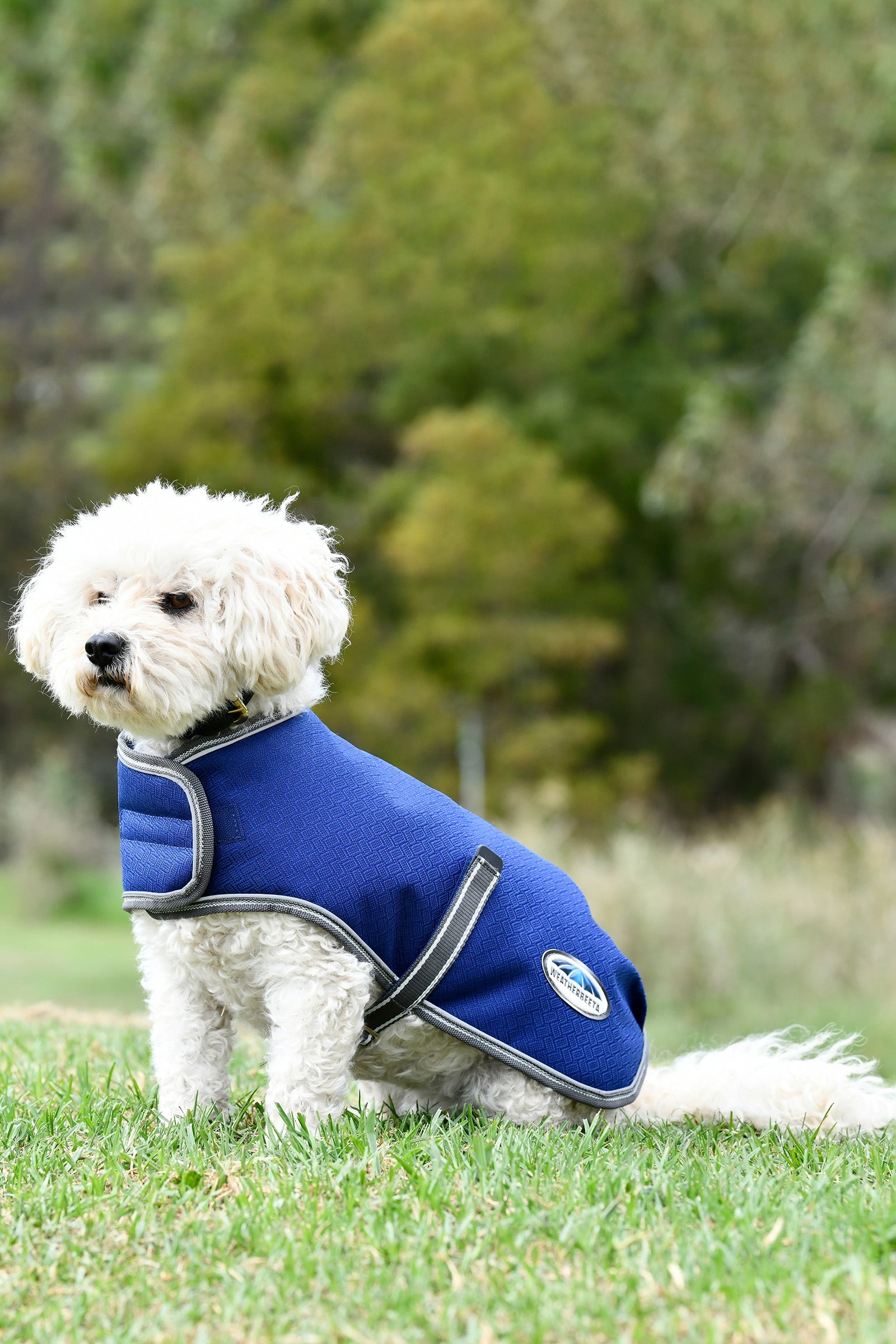 Weatherbeeta Comfitec Premier Free Parka hundjacka medium, 220g Utrustning för hundar