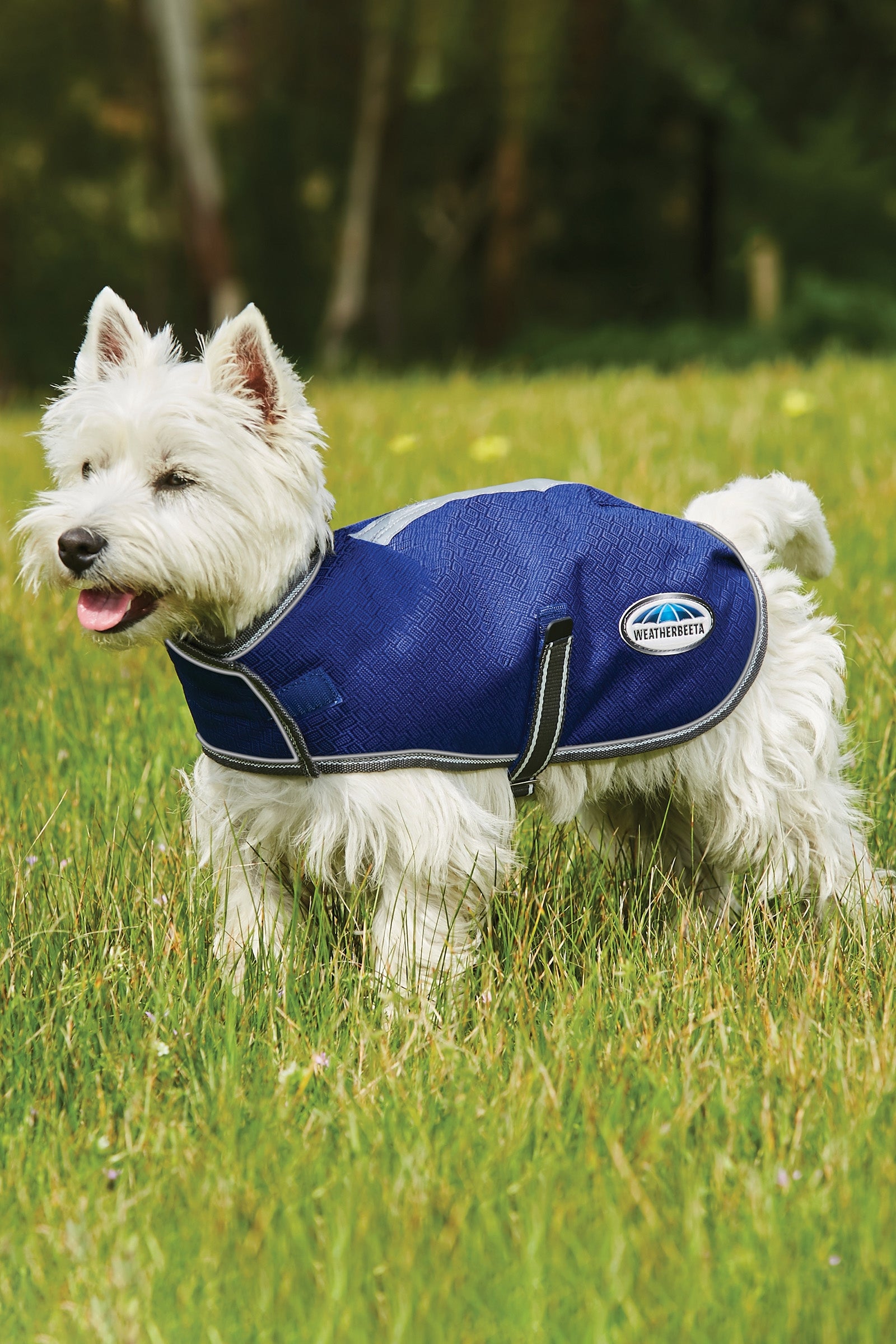 Weatherbeeta Comfitec Premier Free Parka Dog Coat Medium, 220g Dog Accesories