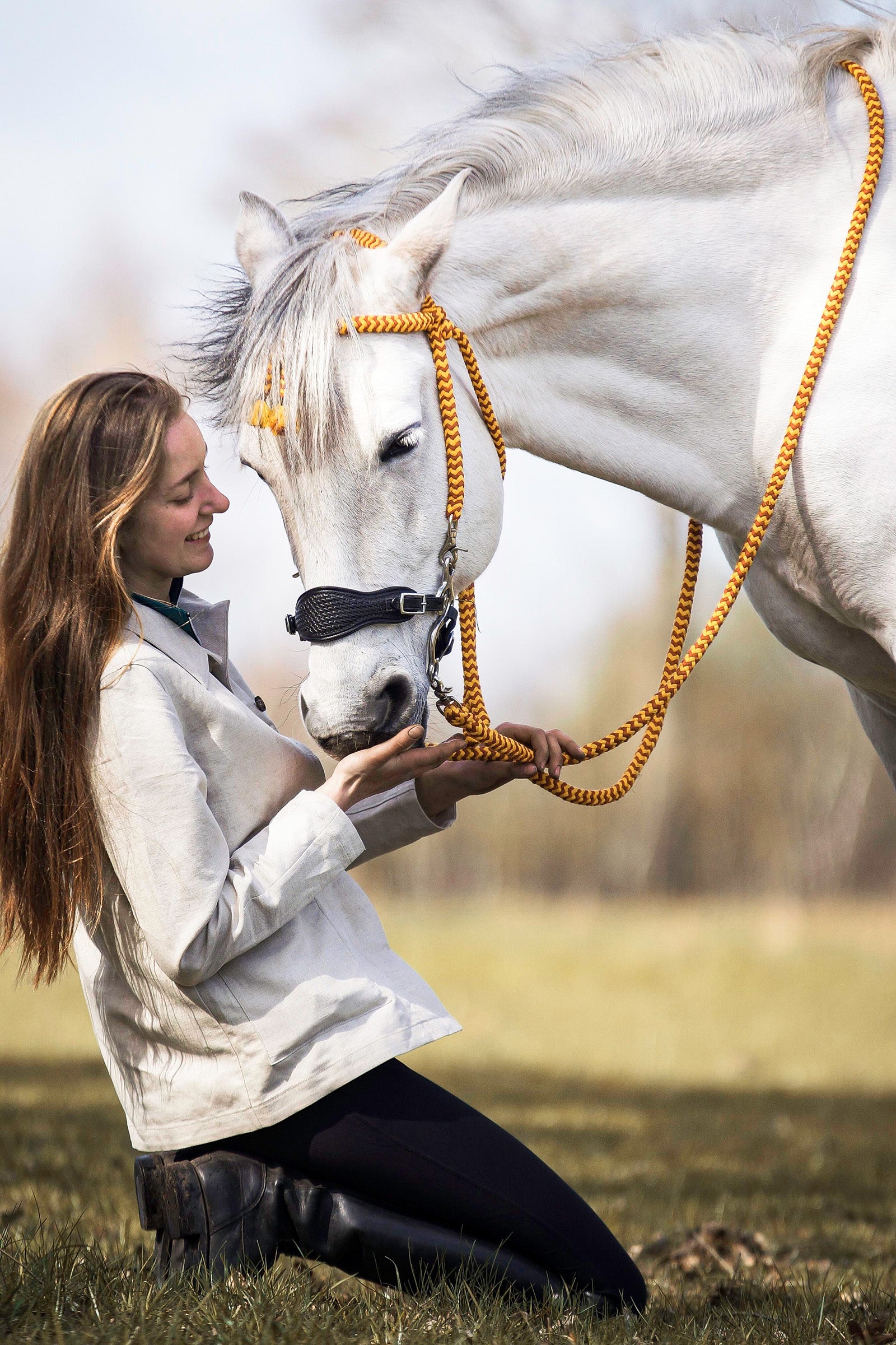 F.R.A. Freedom Riding Articles Fiore Hackamore (System 2) Horse Bits
