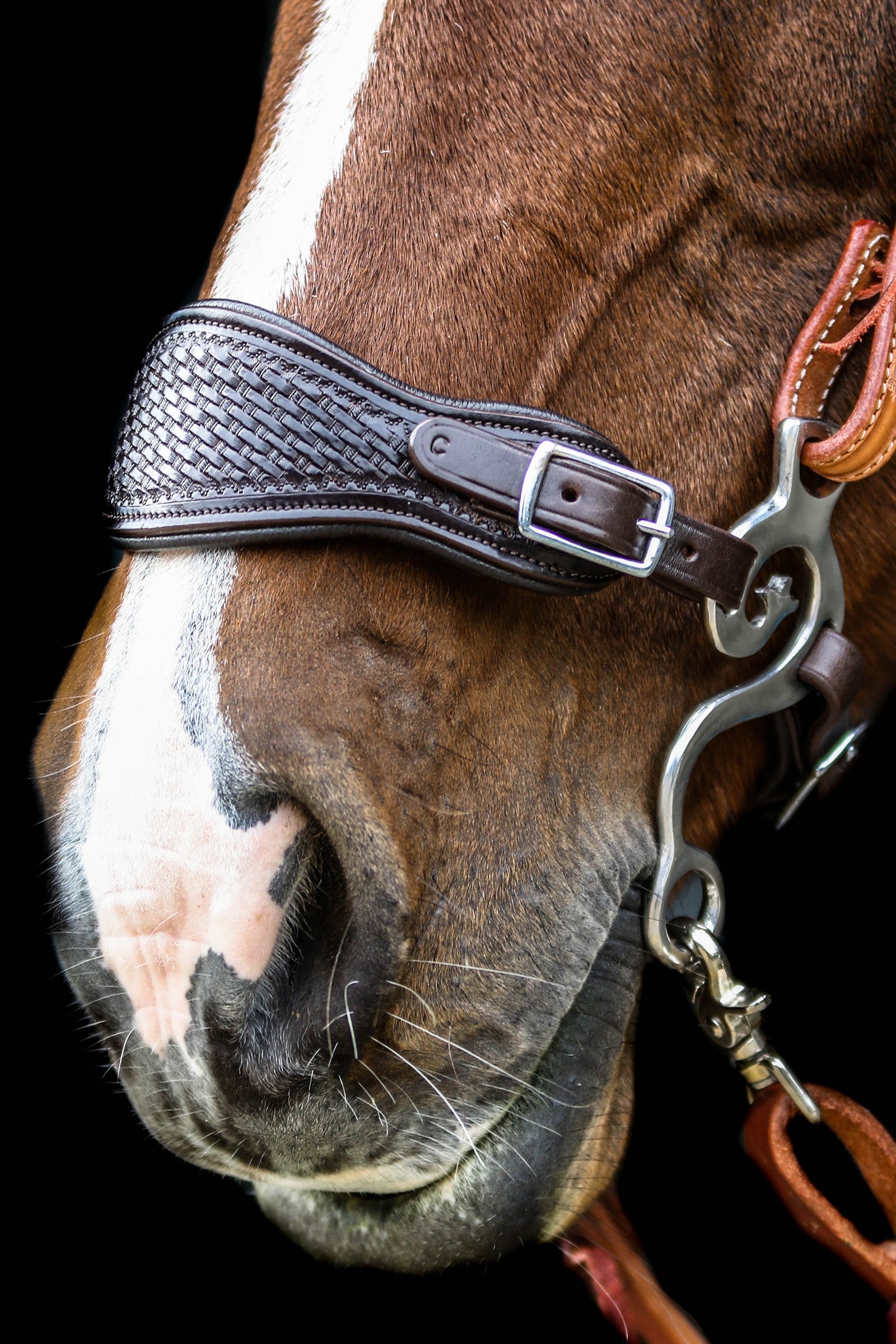 F.R.A. Freedom Riding Articles Fiore Hackamore (System 2) Horse Bits